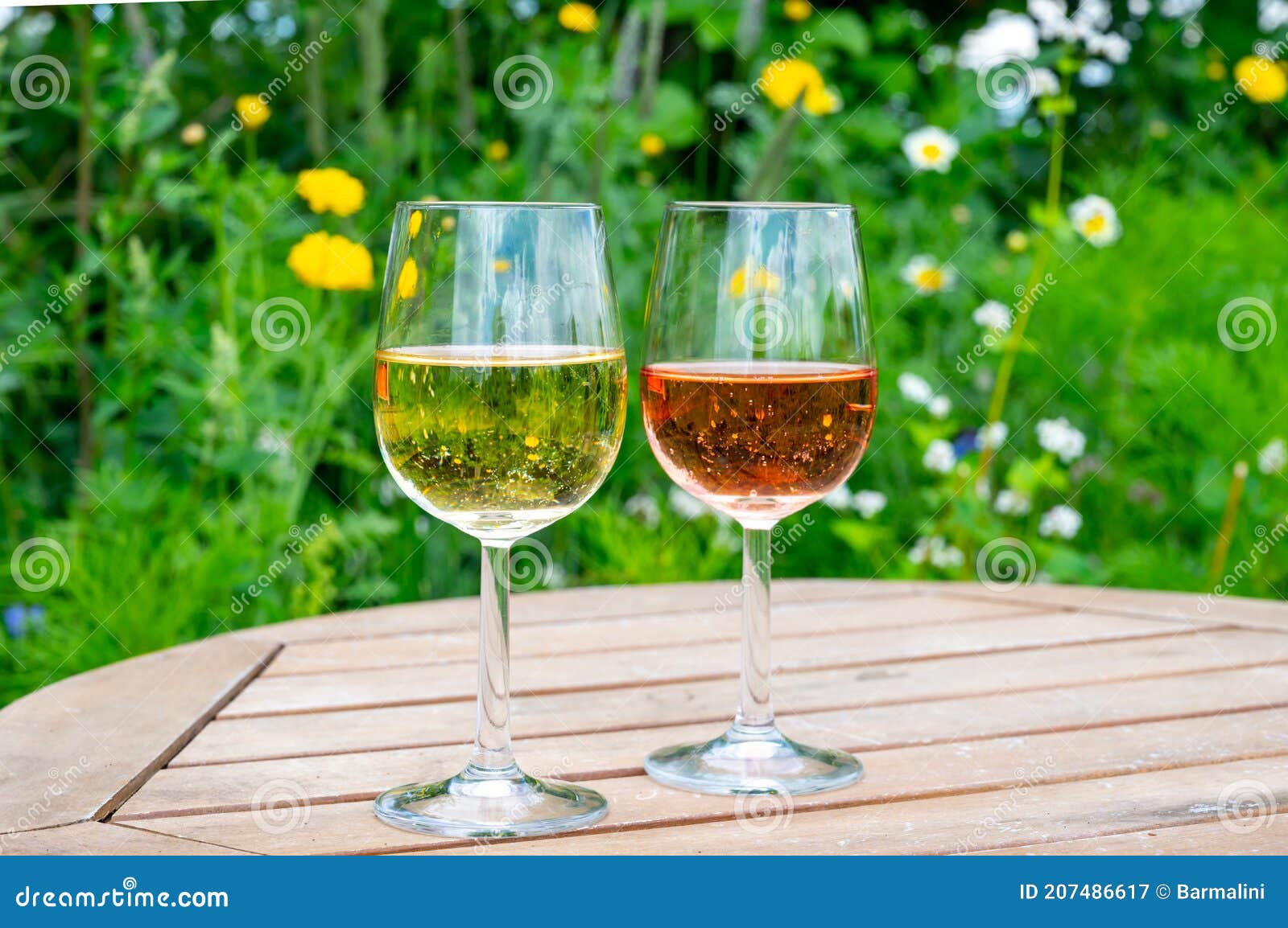 Tasting of Dutch Rose and Dry White Wine on Vineyard in Summer Stock