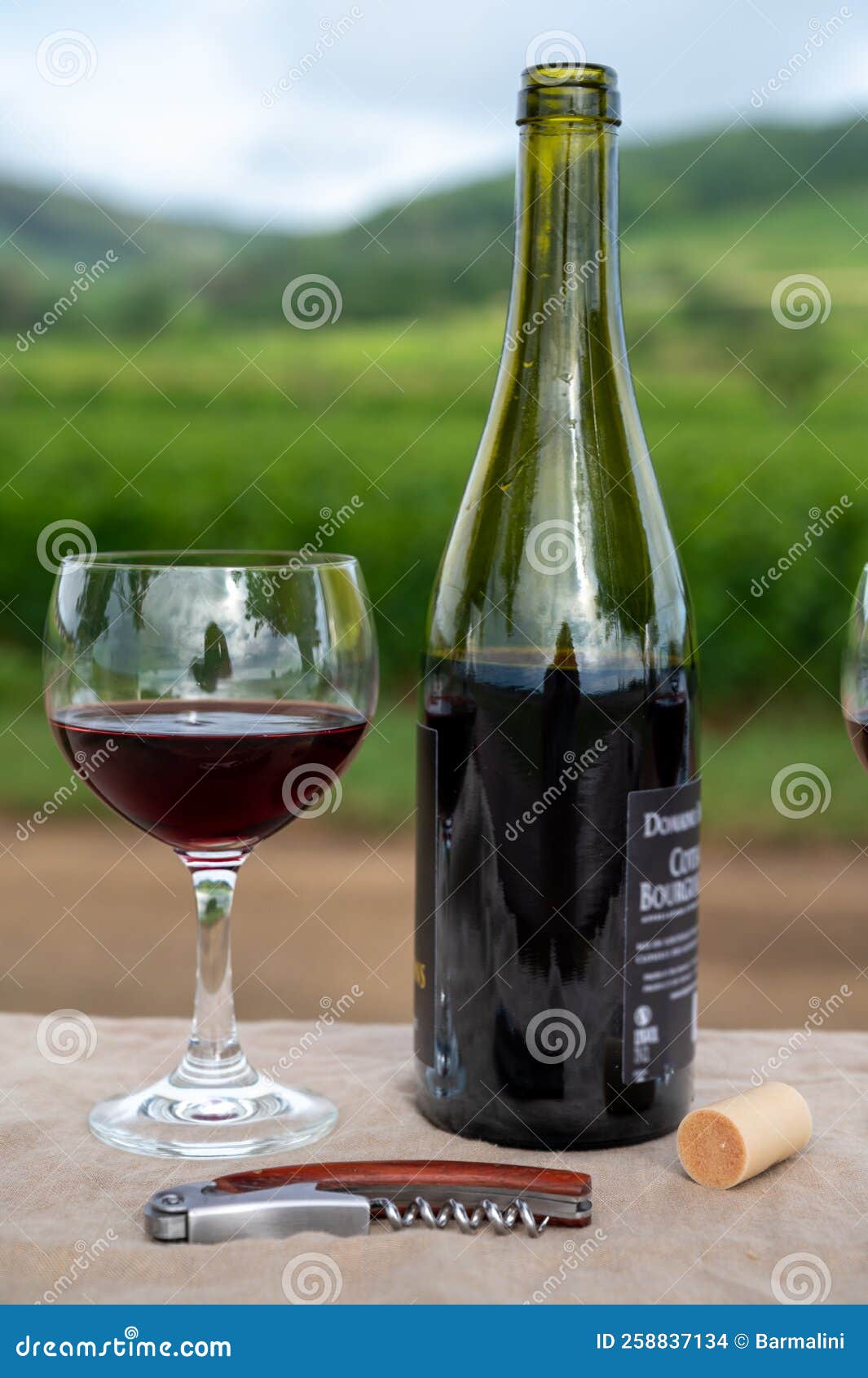 tasting of red dry pinot noir wine in glass on premier and grand cru vineyards in burgundy wine making region near vosne-romanÃÂ©e