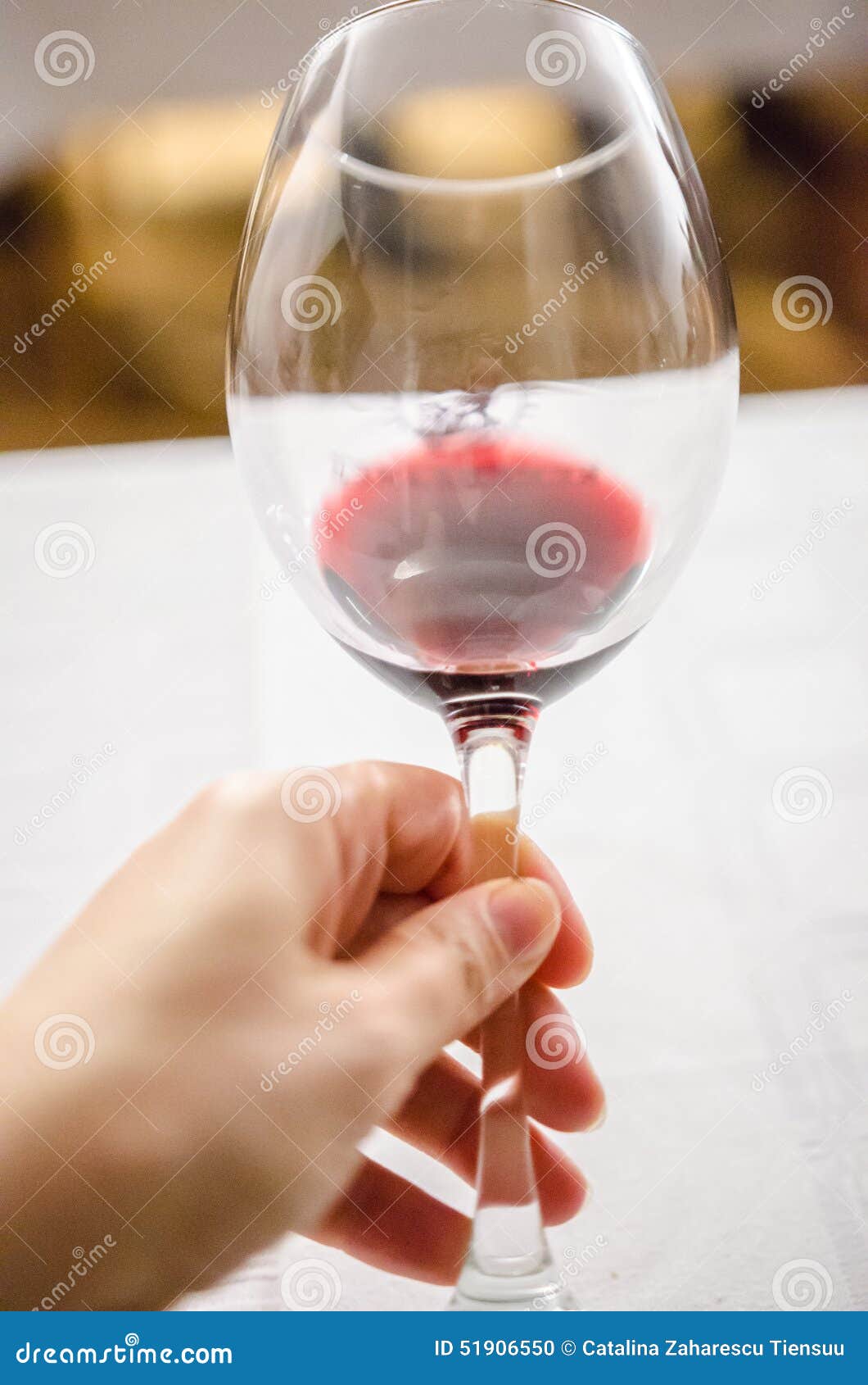 Tasting red wine stock photo. Image of wine, color, drinking 51906550