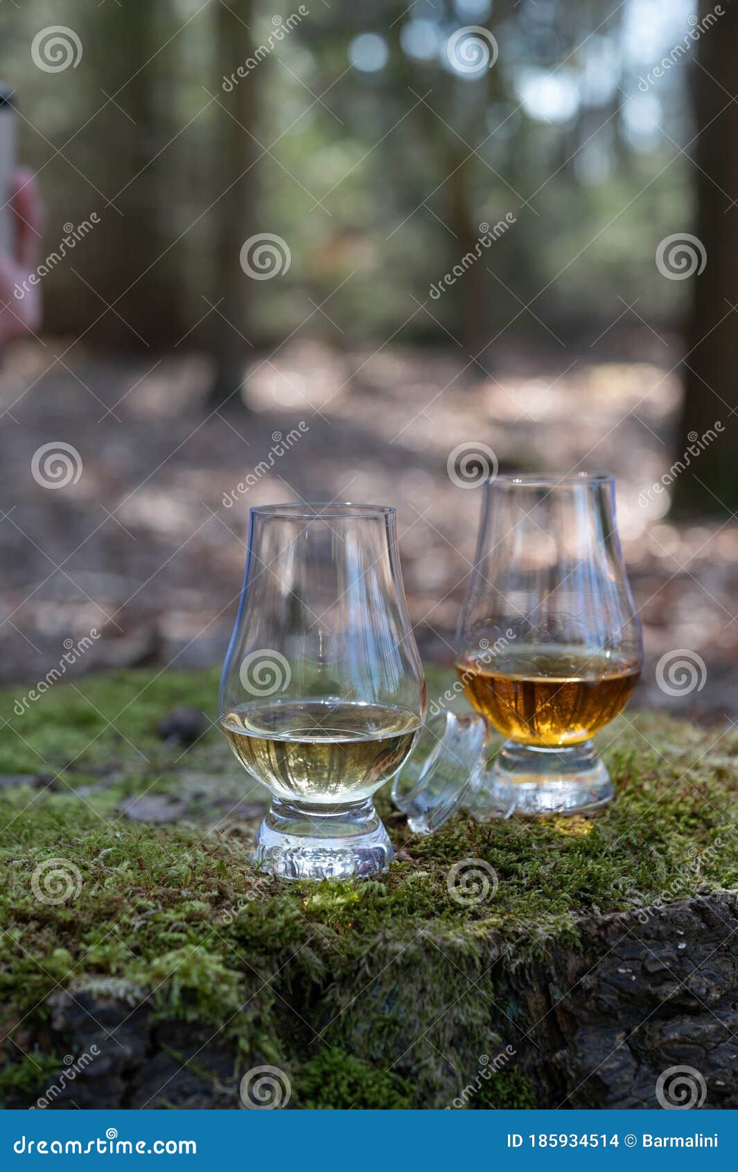 Tasting of Scotch Single Malt Whisky from Islay Island, Most Intensely ...