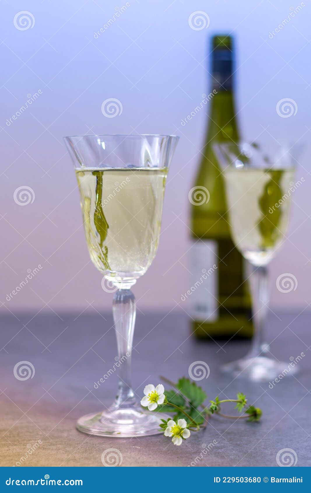 Tasting of White Dry German Riesling from Mosel River Valley Stock