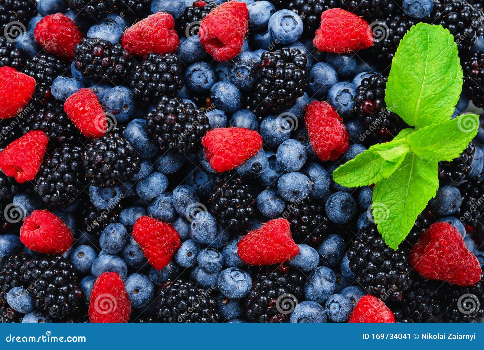 Blackberry, Raspberry, Blueberry and Mint Background Stock Image