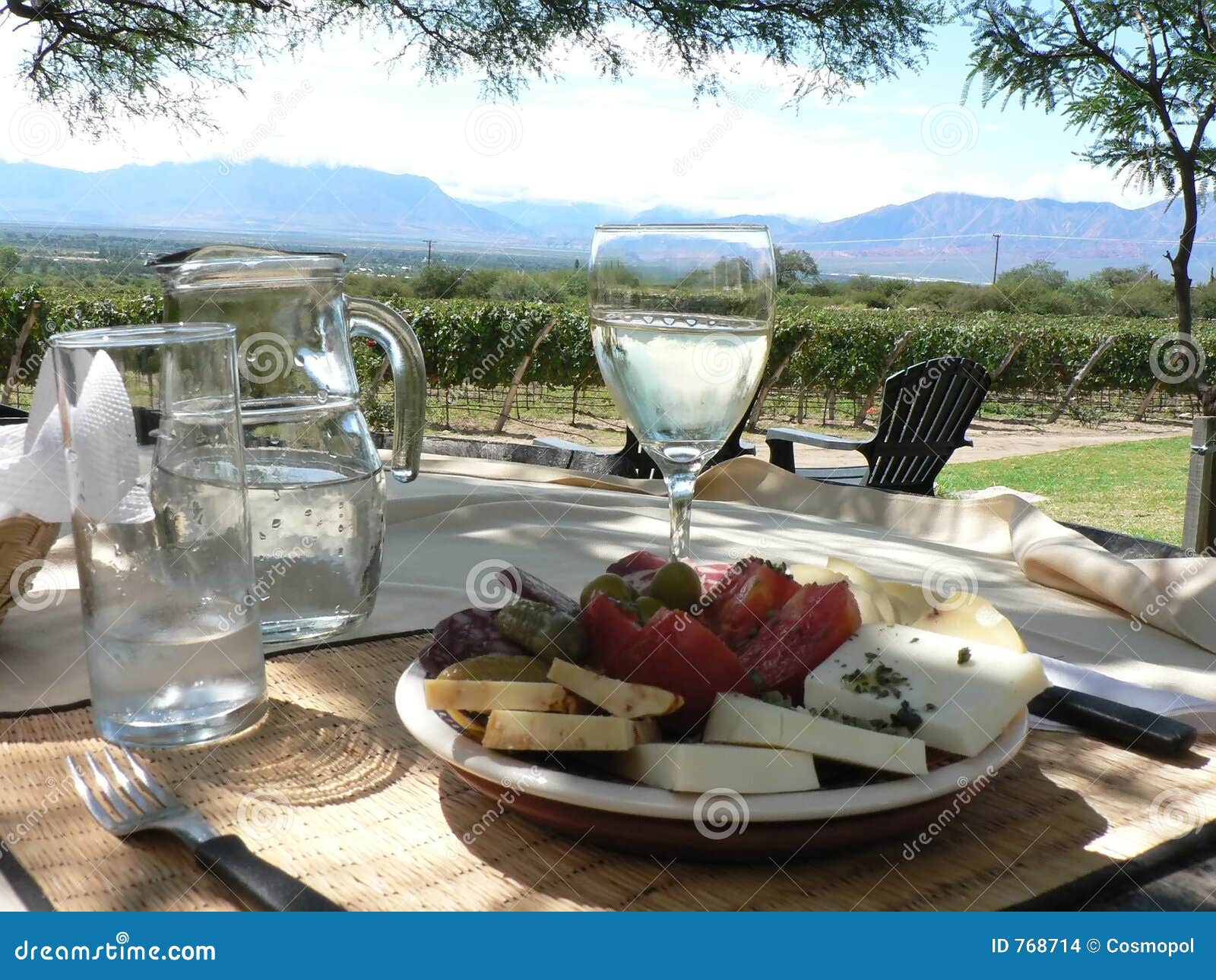 tasty food: lunch break in argentina vineyard