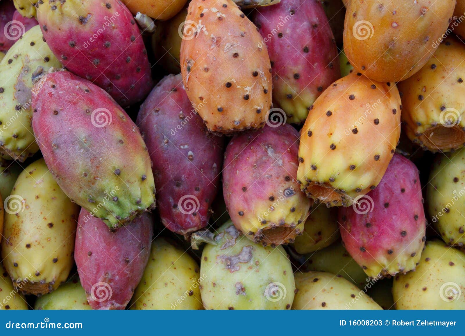 Tasty fresh cactus pears stock image. Image of exotic 16008203