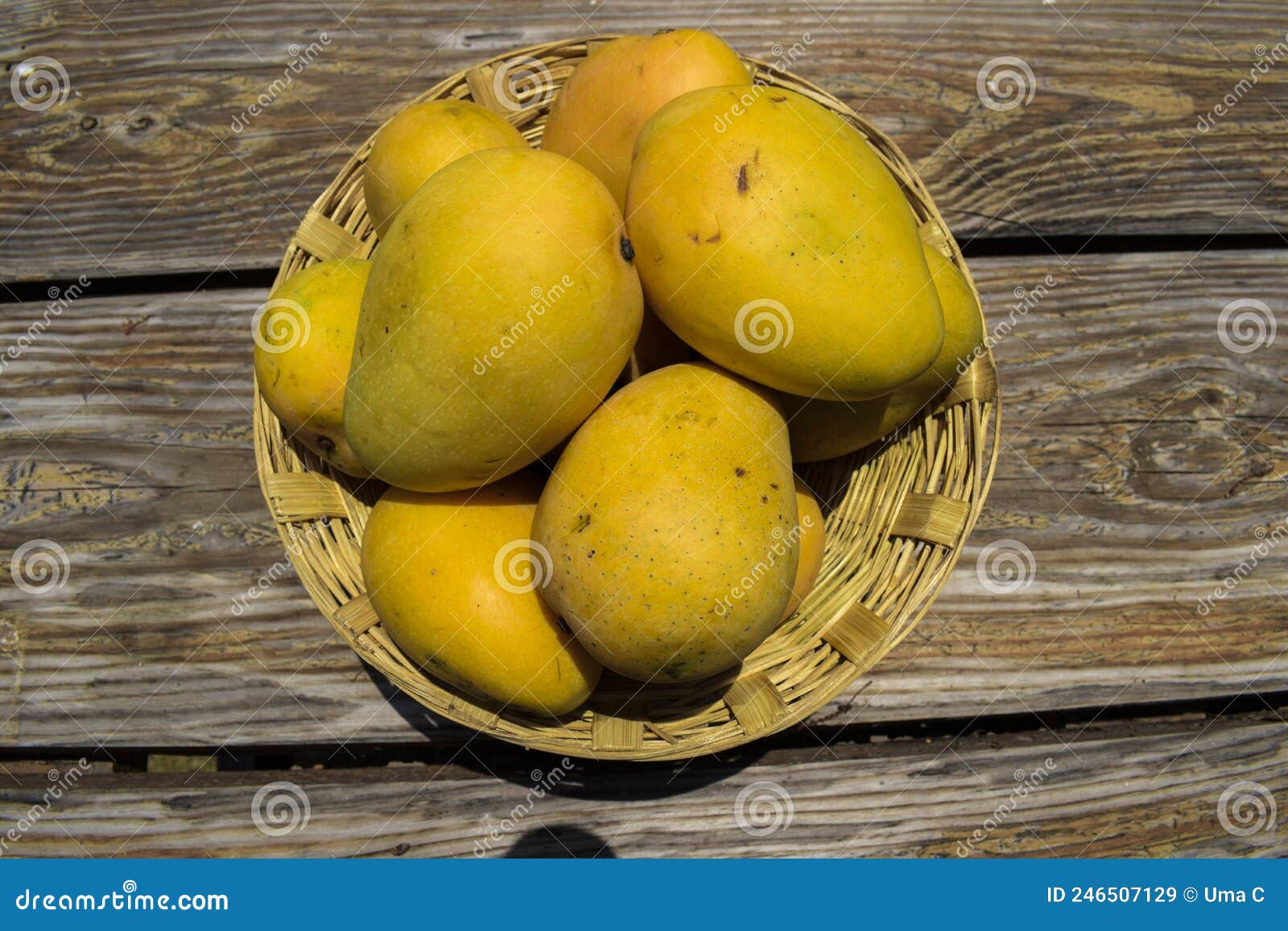 hawt large mangos aged lady