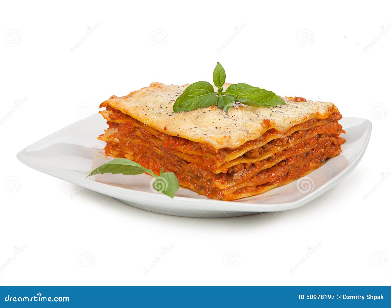 Tasty lasagna on plate stock image. Image of homemade 50978197