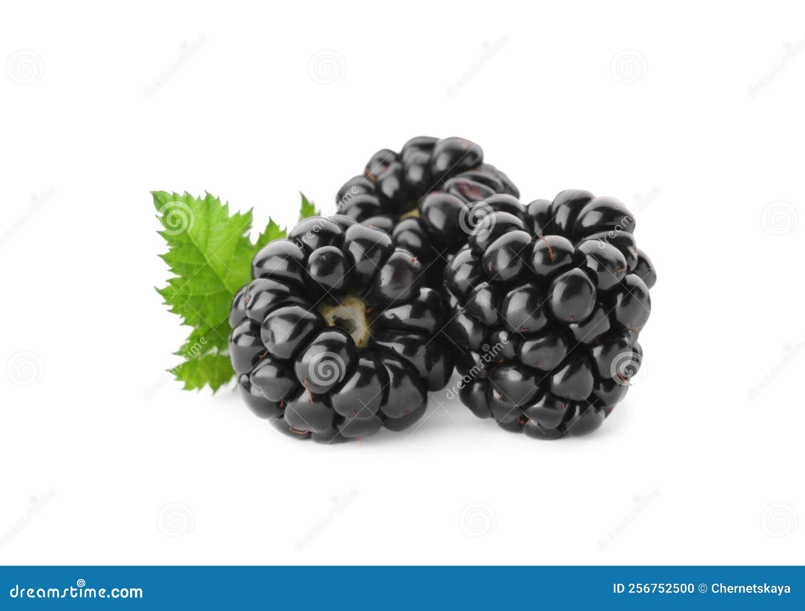 Tasty Ripe Blackberries and Leaf on White Background Stock Photo Image of agriculture, juicy