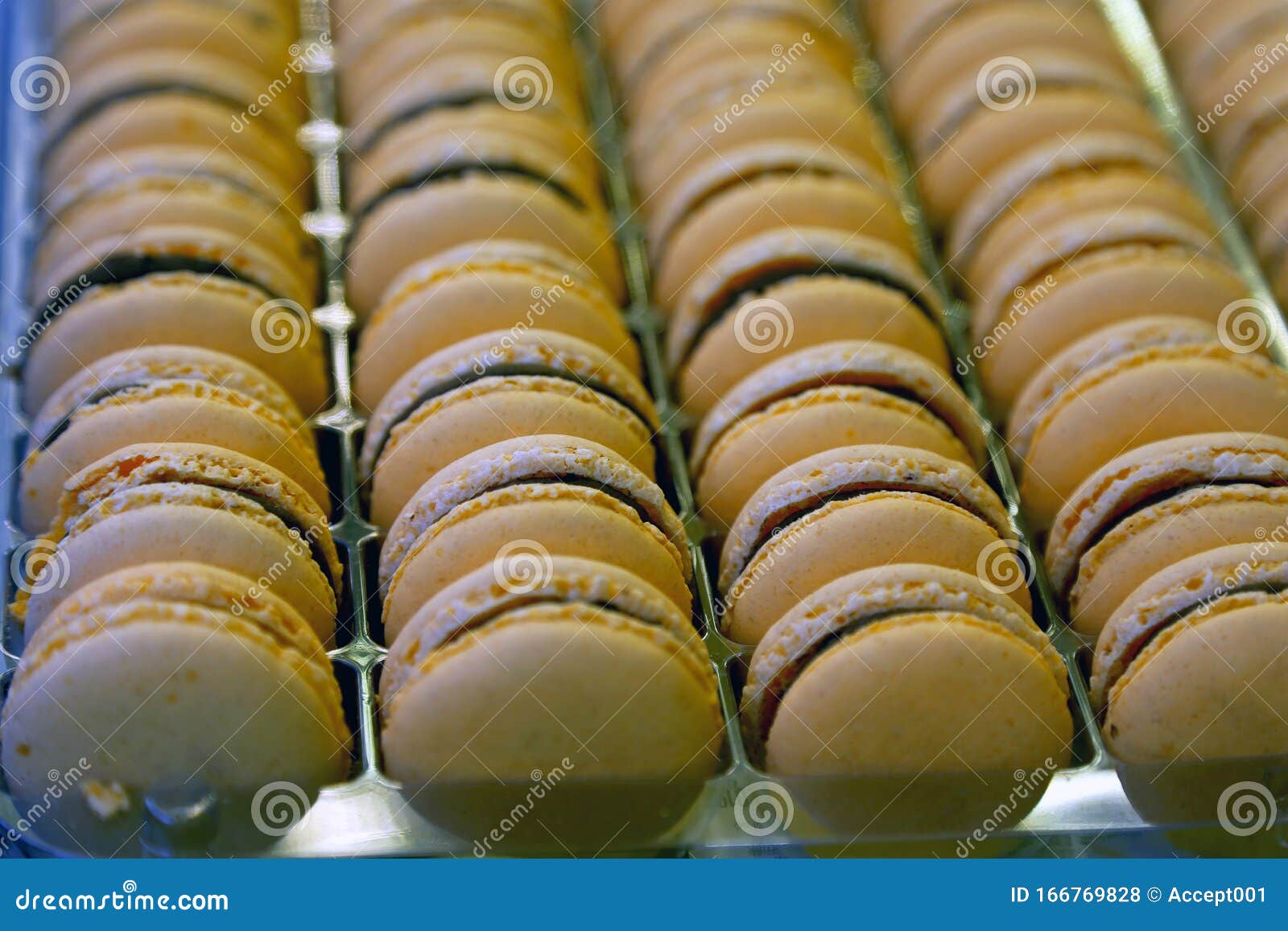 tasty sweet colorful macaron bakery concept selective focus