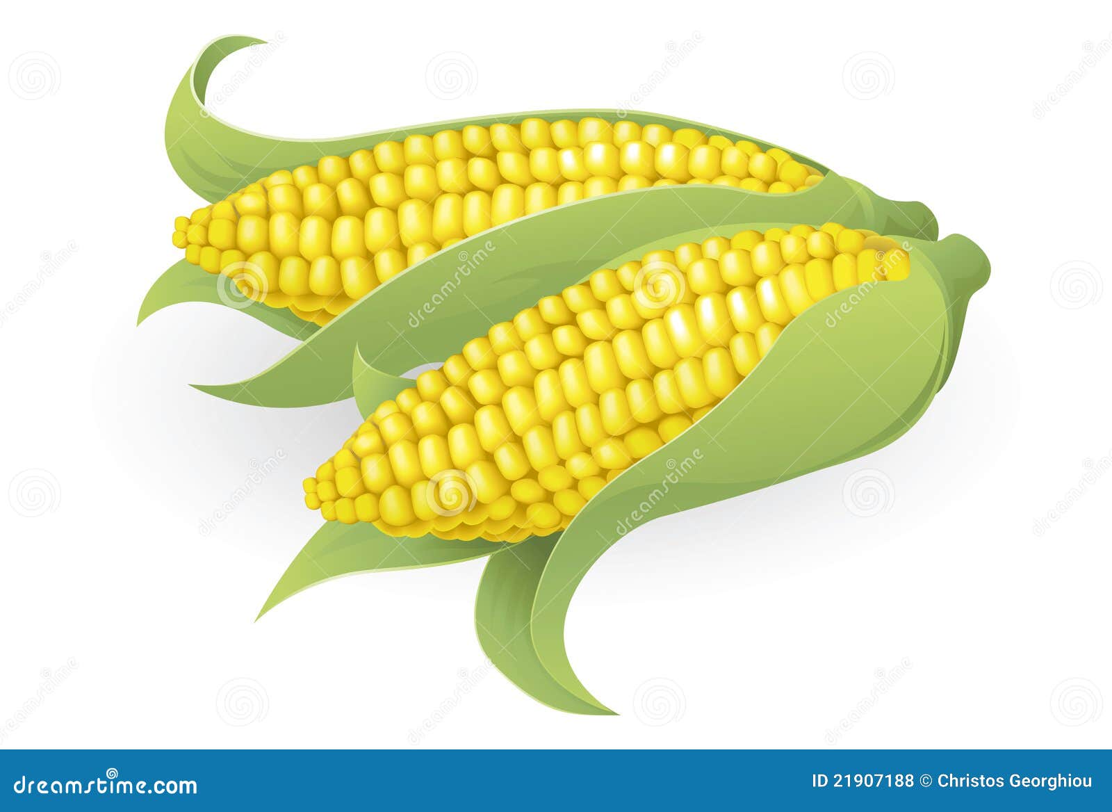 tasty sweetcorn 