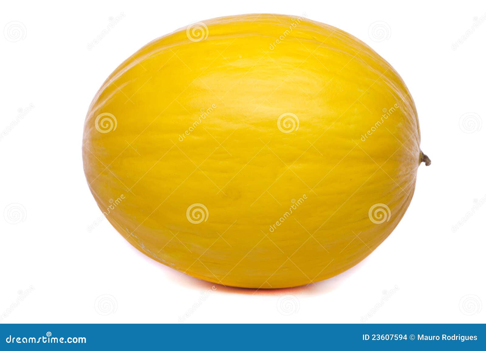 Tasty yellow melon stock photo. Image of tasty, nutrition 23607594