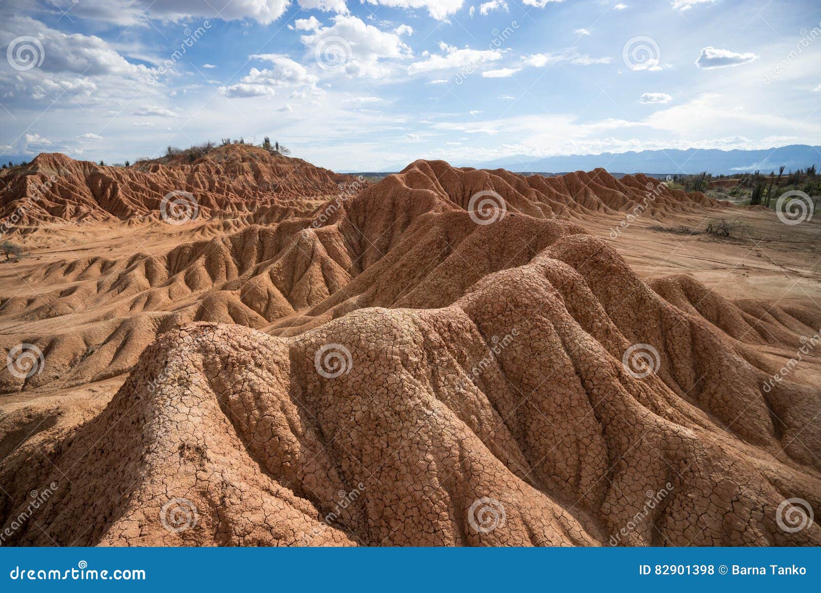 the tatacoa desert