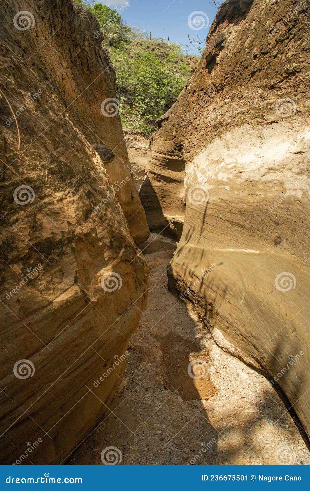 tatacoa desert path. huila colombia