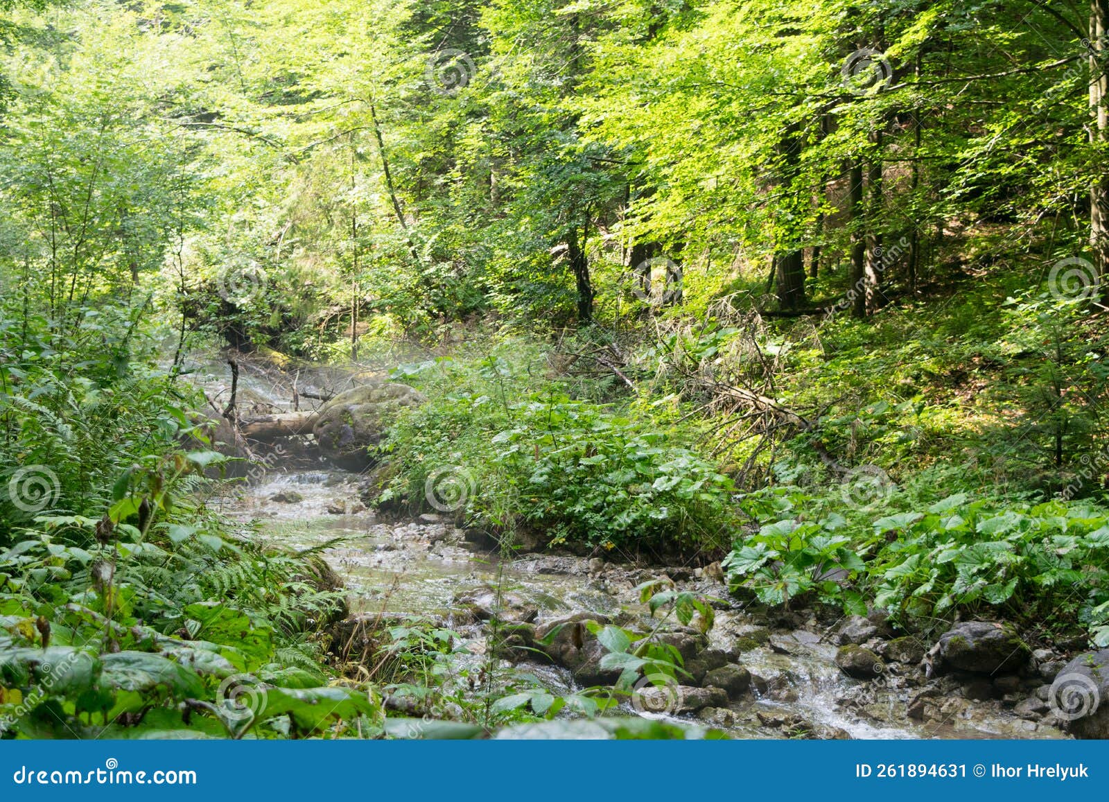 Tatra Mountains. View of the Mountain