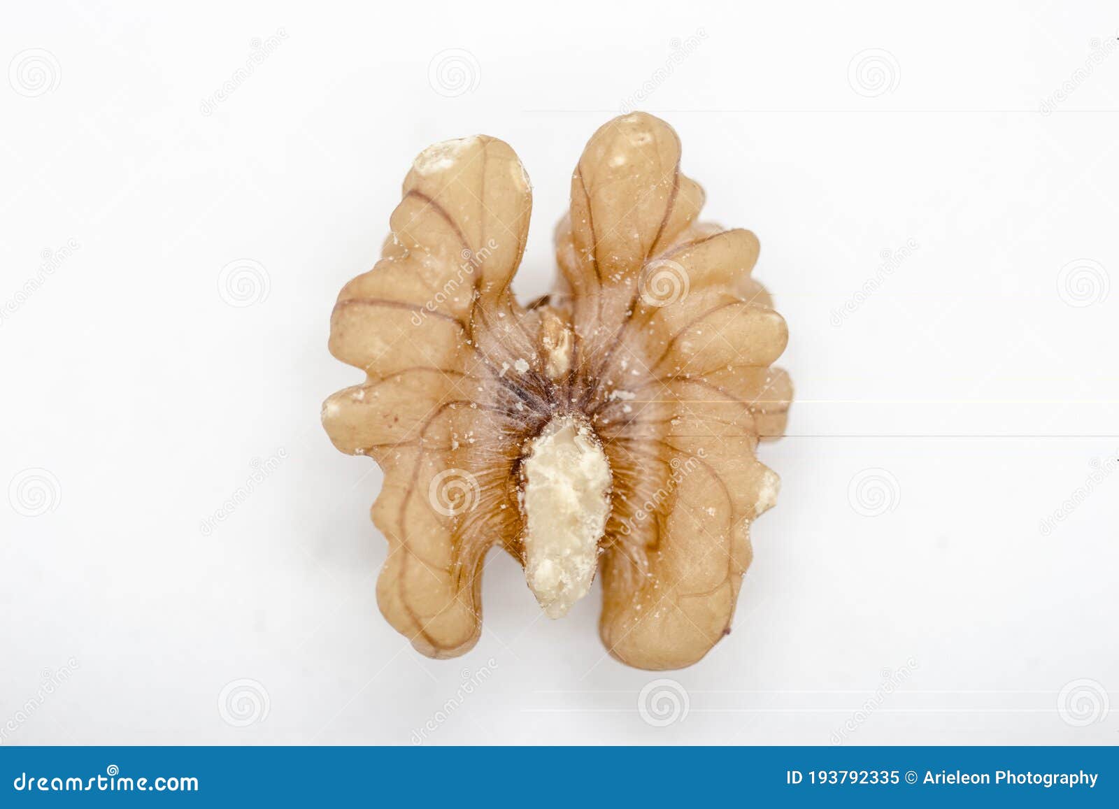 A Tatsy Walnut in a Close Up Stock Image Image of fruit, diet 193792335