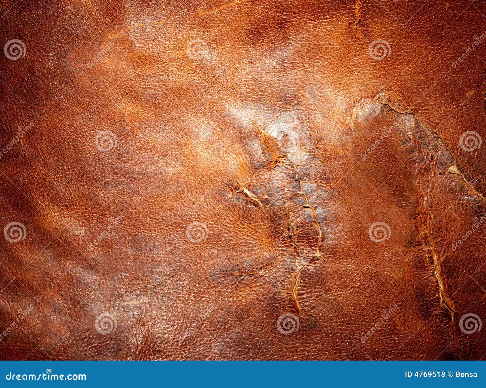 Tattered leather stock photo. Image of noise, antique - 4769518