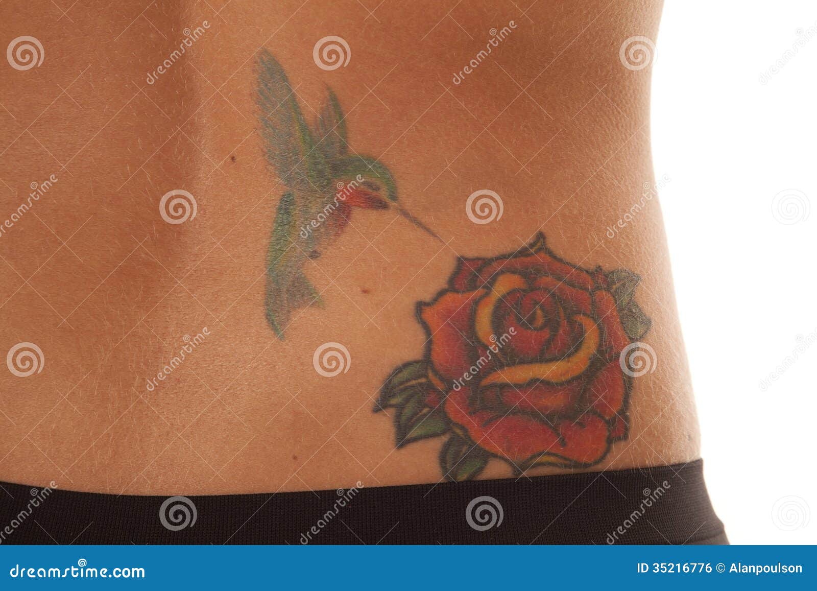 tummy with rose tattooTikTok Search