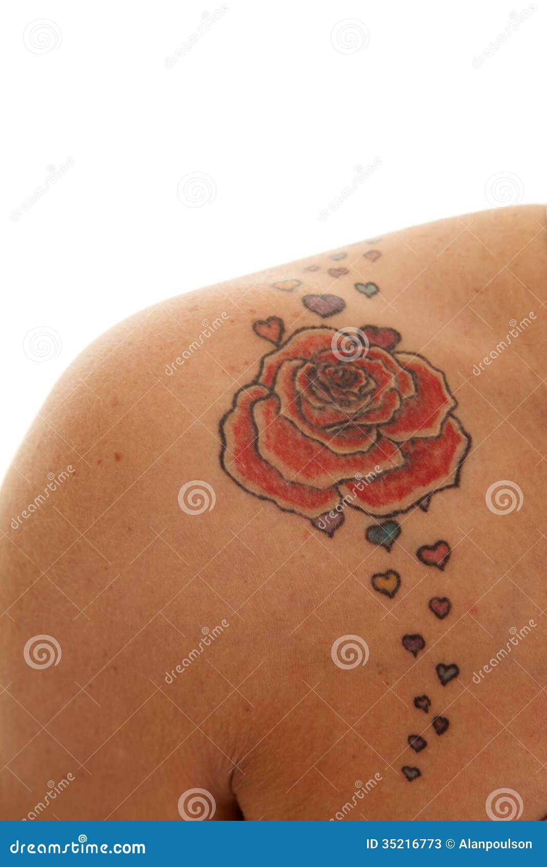 Rose tattoo hires stock photography and images  Alamy