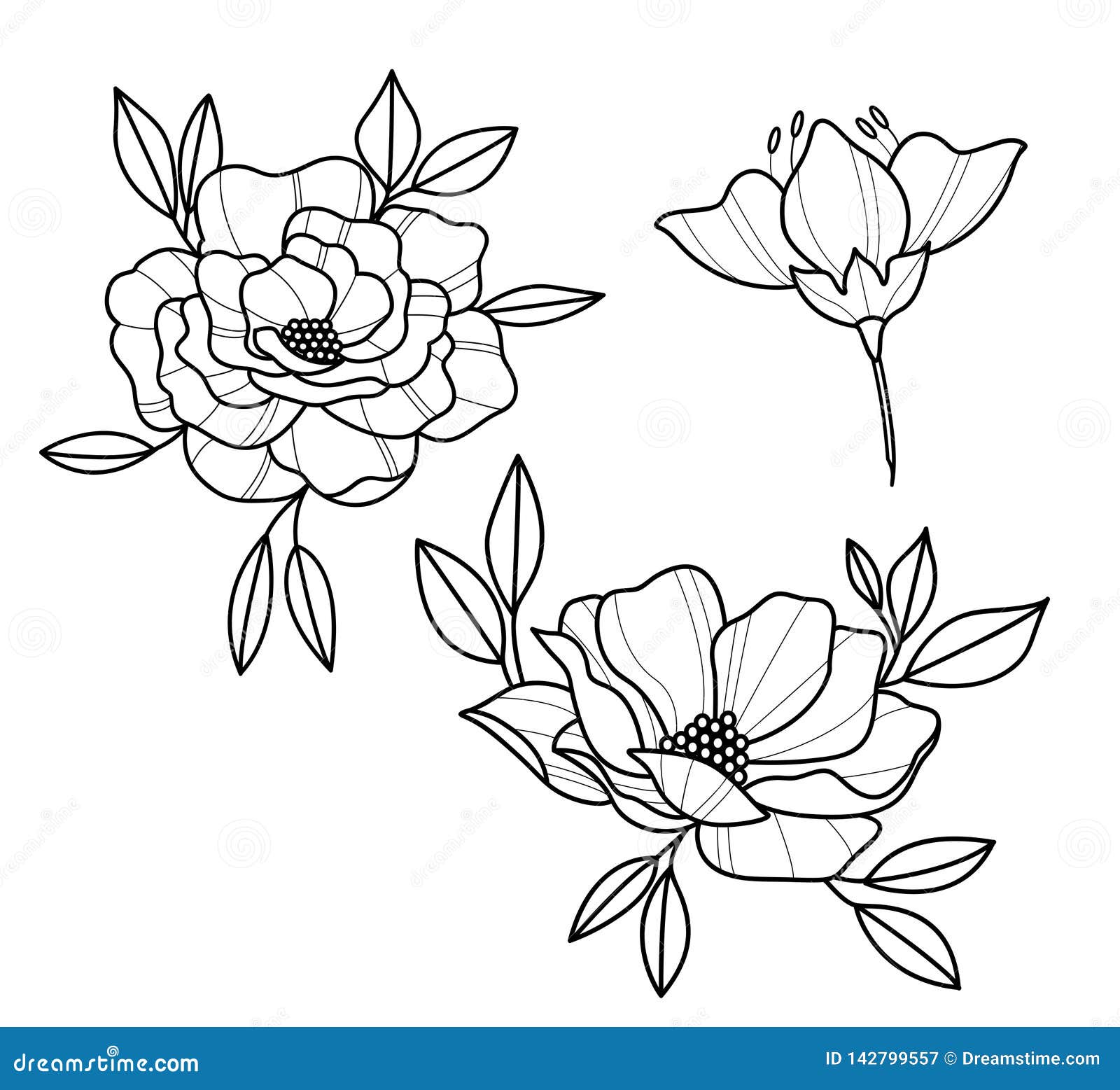 FLASH DAY TOMORROW Doors open 12 Some dainty lil flowers for those of you  wanting something sweet  small Tag ya  Tattoo designs Tattoos Floral  tattoo design