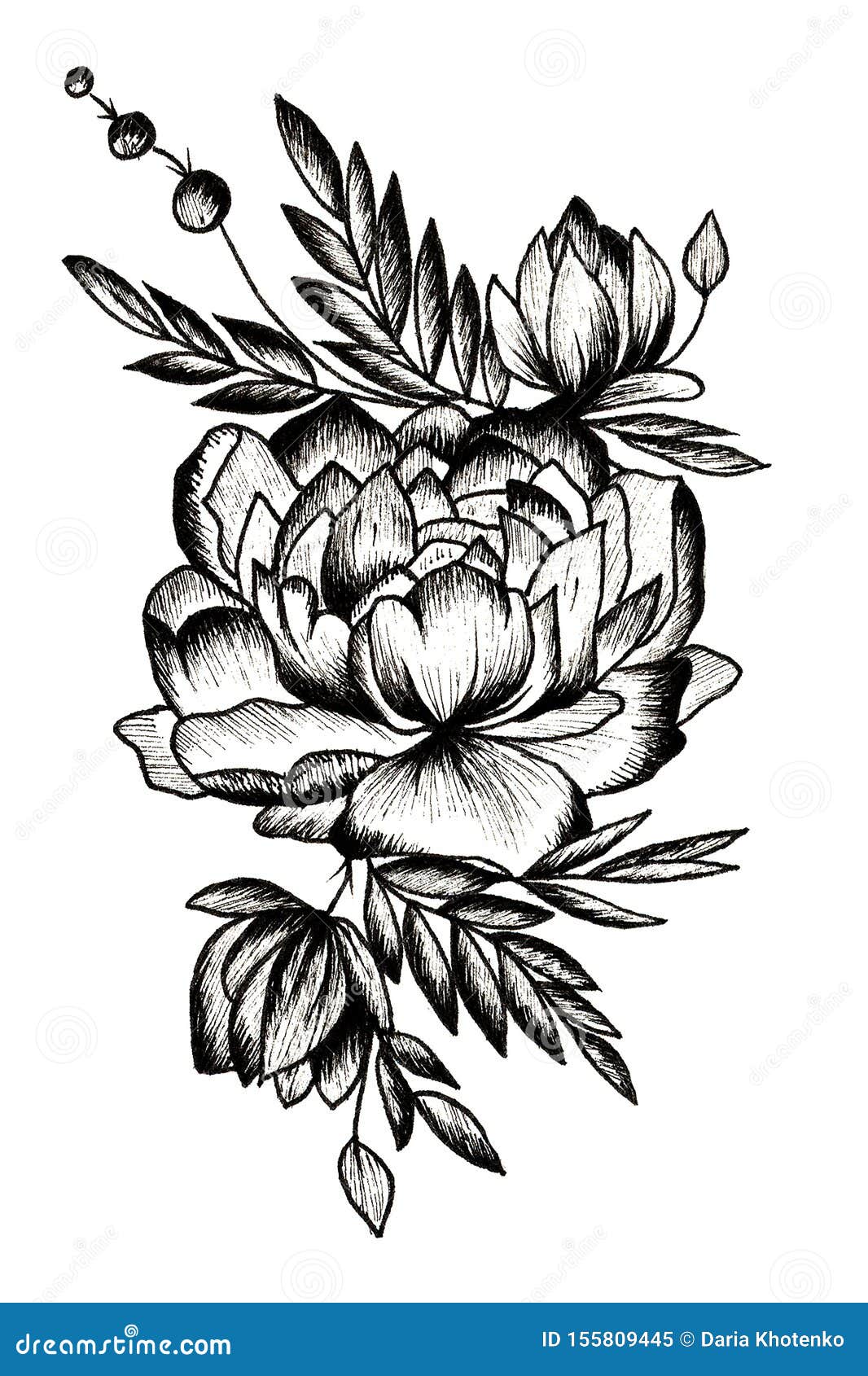 Details more than 76 peony tattoo sketch  thtantai2