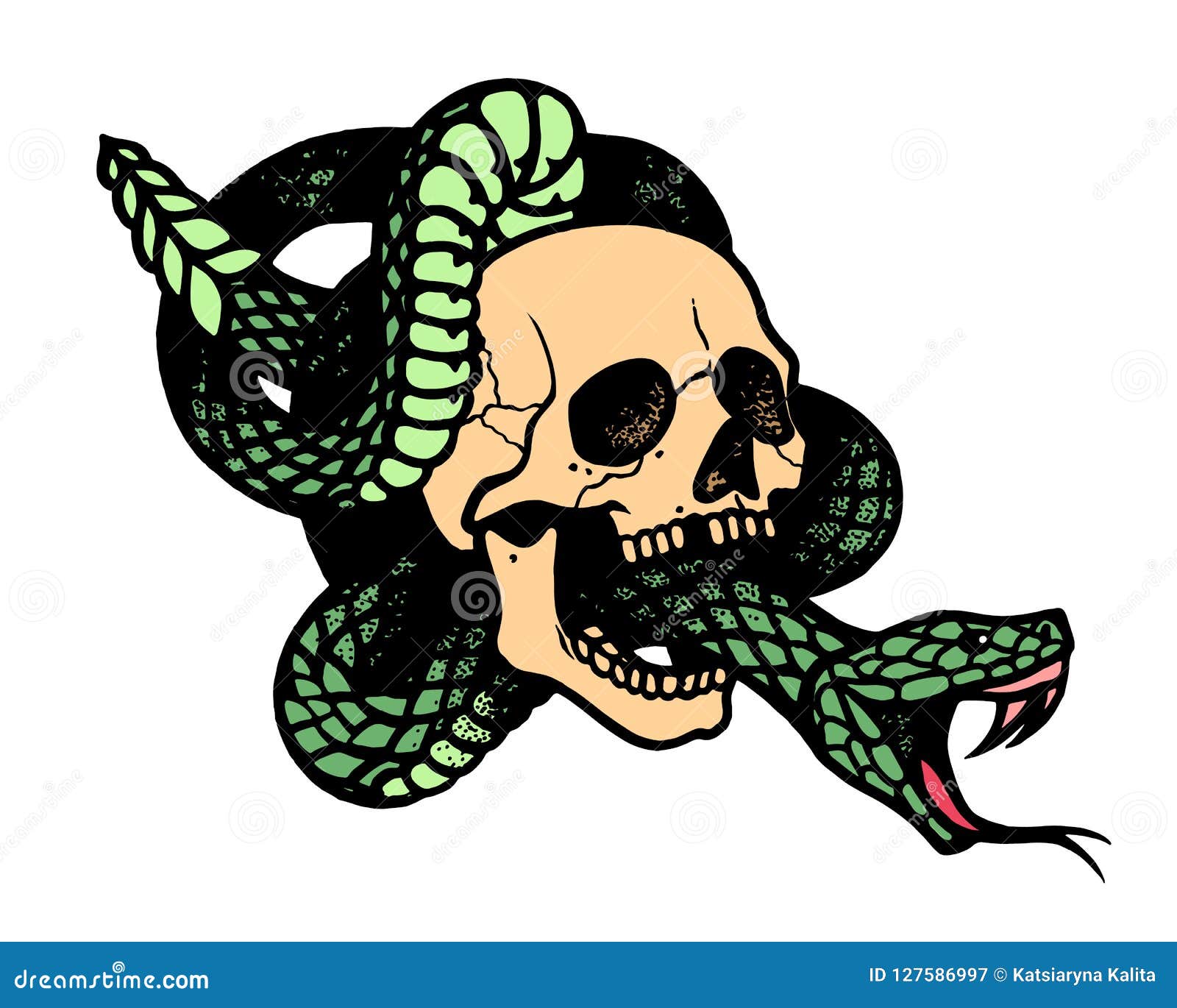Tattoo Design With Snake And Dagger Skull Stock Illustration  Download  Image Now  Snake Skull Sword  iStock