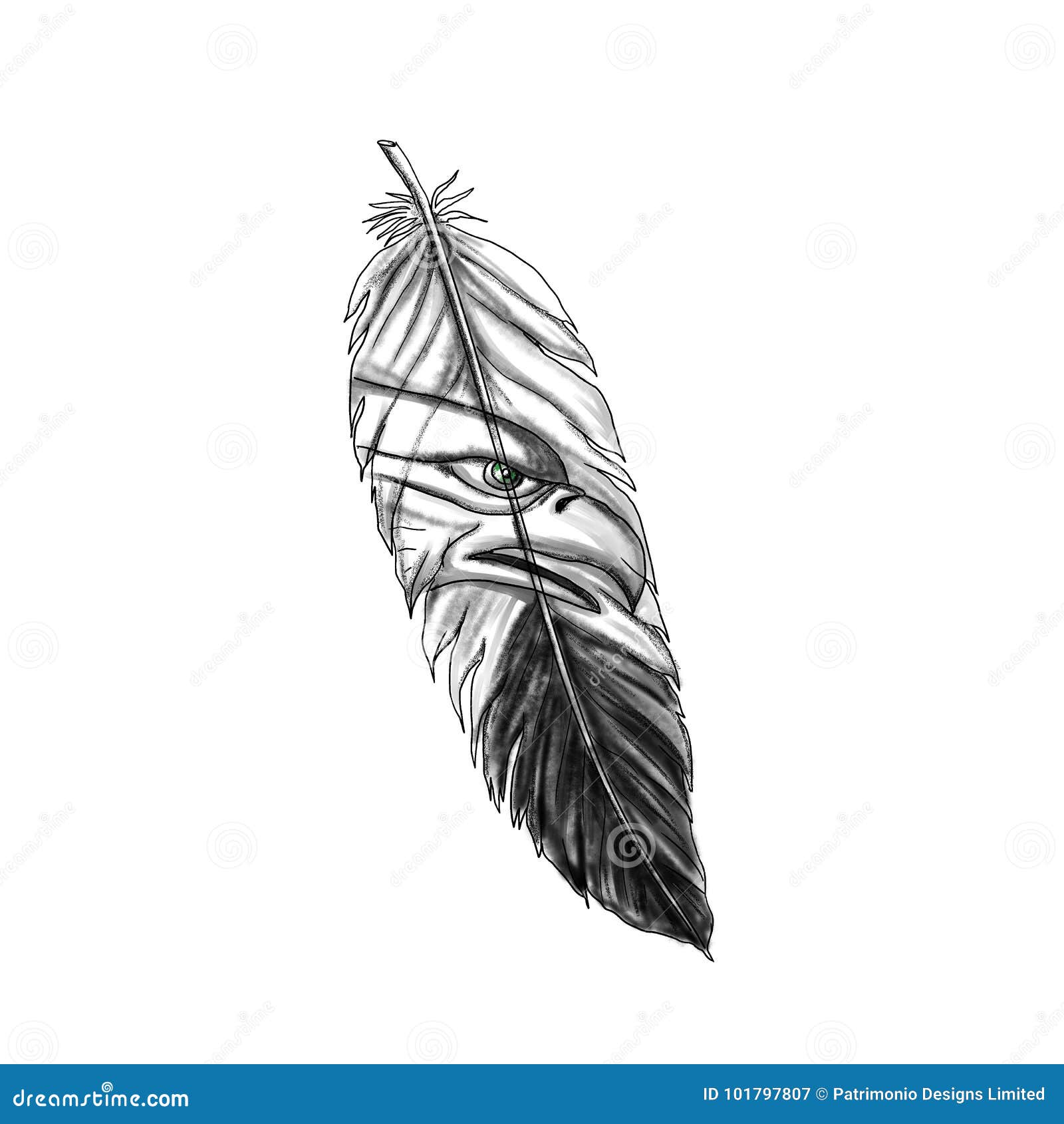 Drawing Line Art Feather, PNG, 723x1800px, Drawing, Area, Artwork, Beak,  Bird Download Free