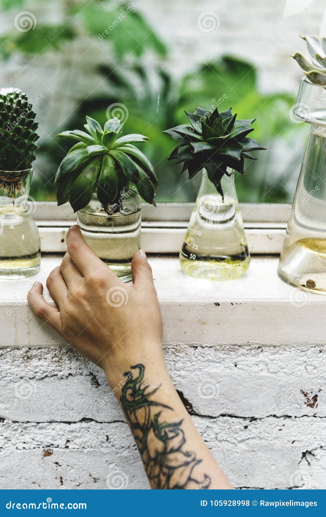 45 Beautiful Plant Tattoo Ideas  Balcony Garden Web