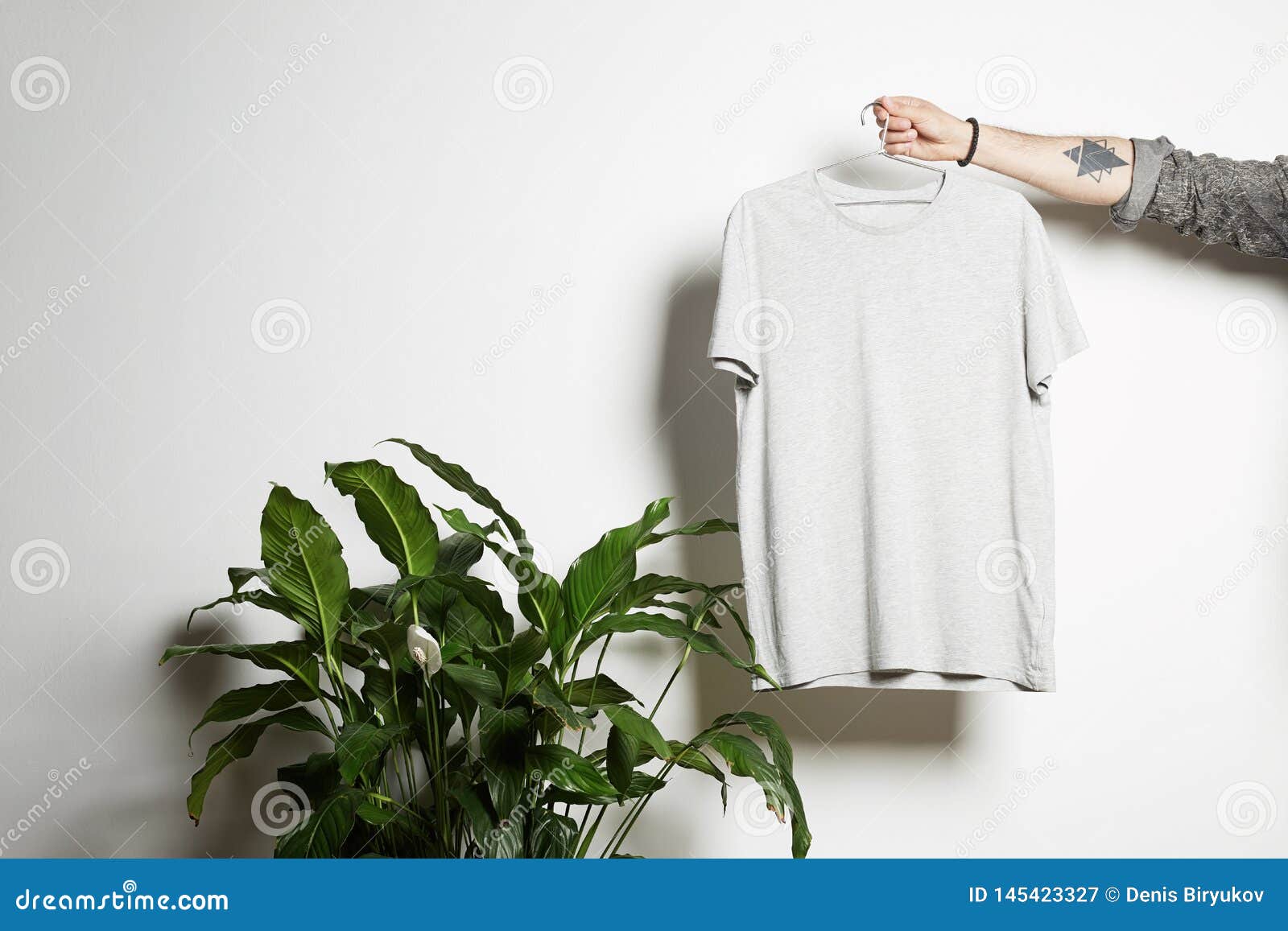 Download Tattooed Male Hand Holds Hanging With Blank White T-shirt From Premium Thin Cotton On White ...