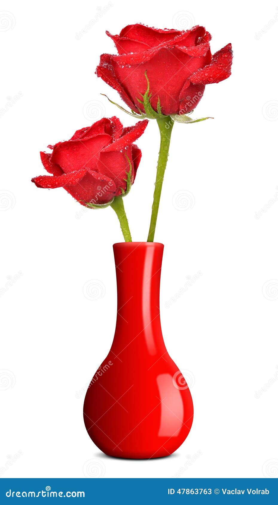 Taunasse Rotrose im Vase