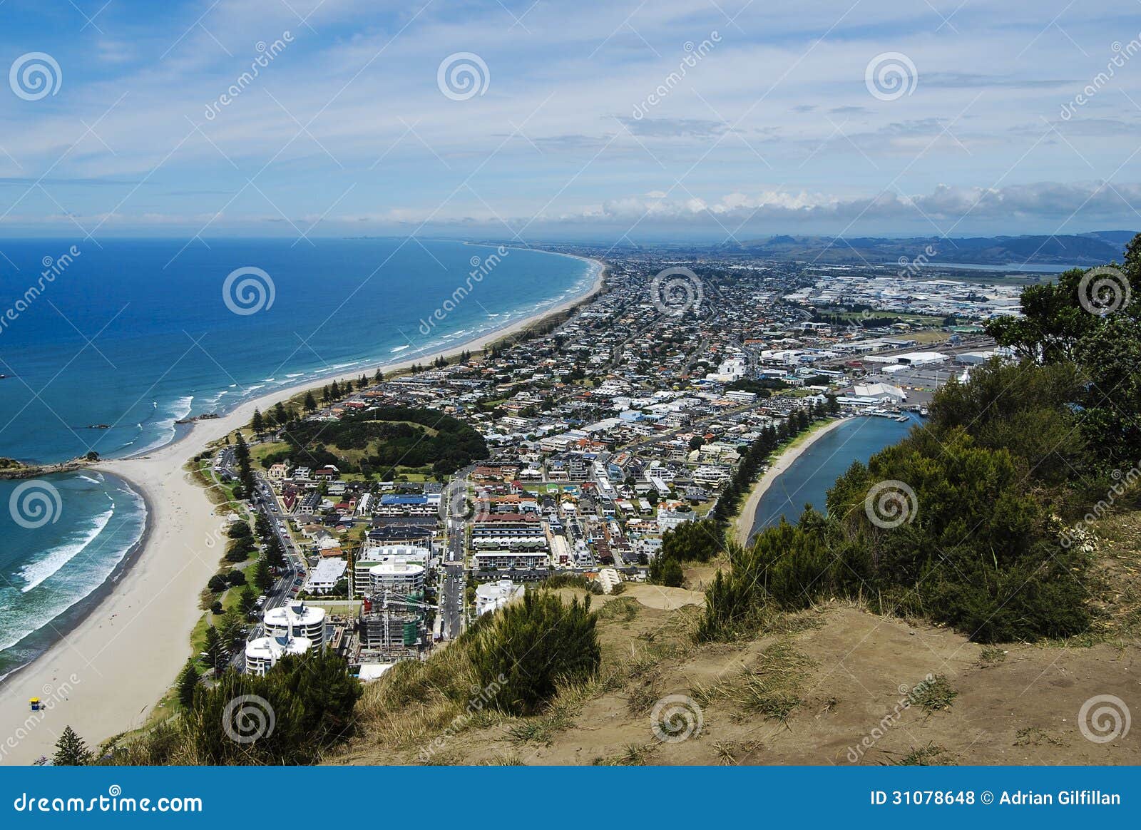 Tauranga NouvelleZélande photo stock. Image du été, constructions