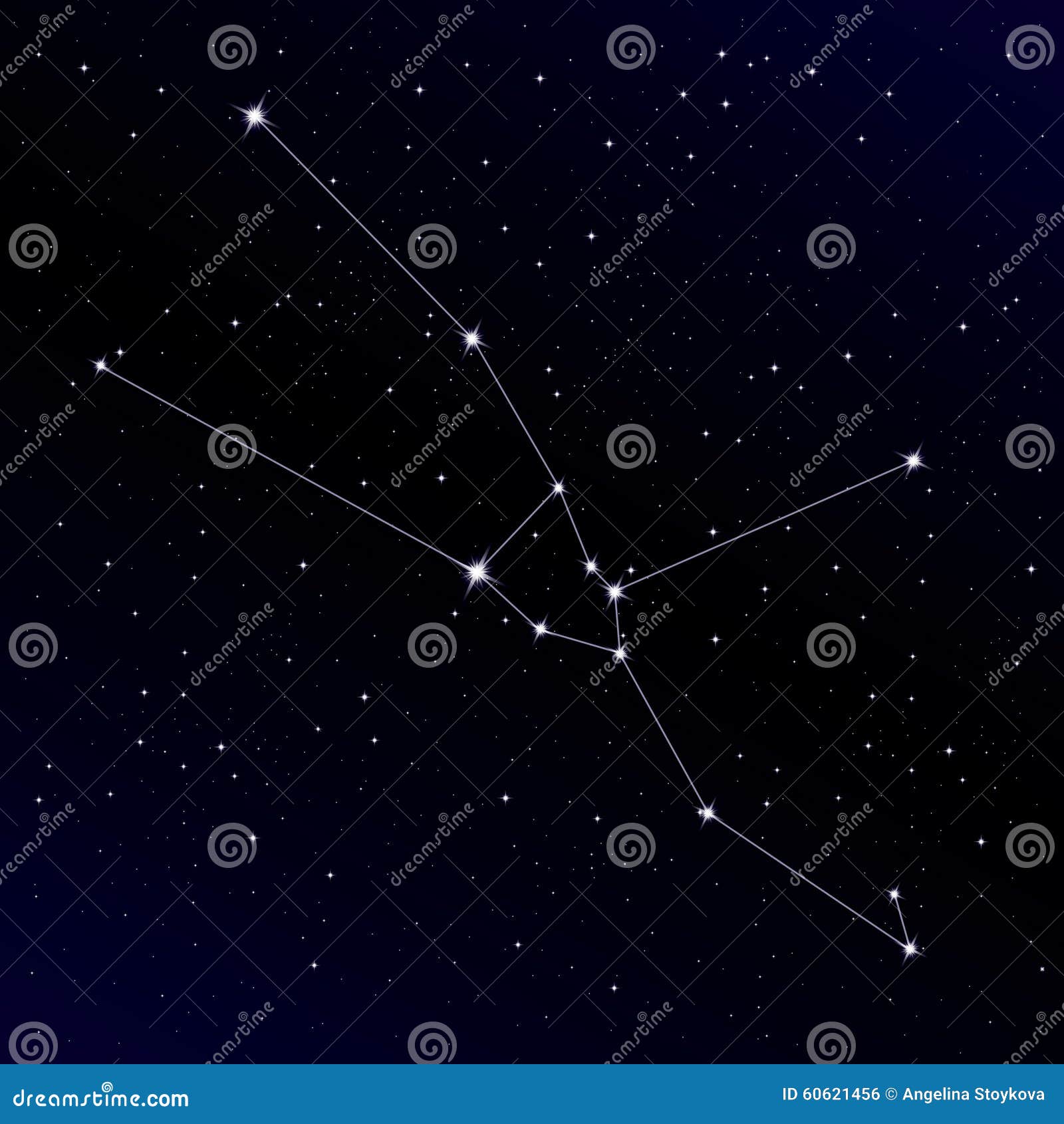 taurus constellation