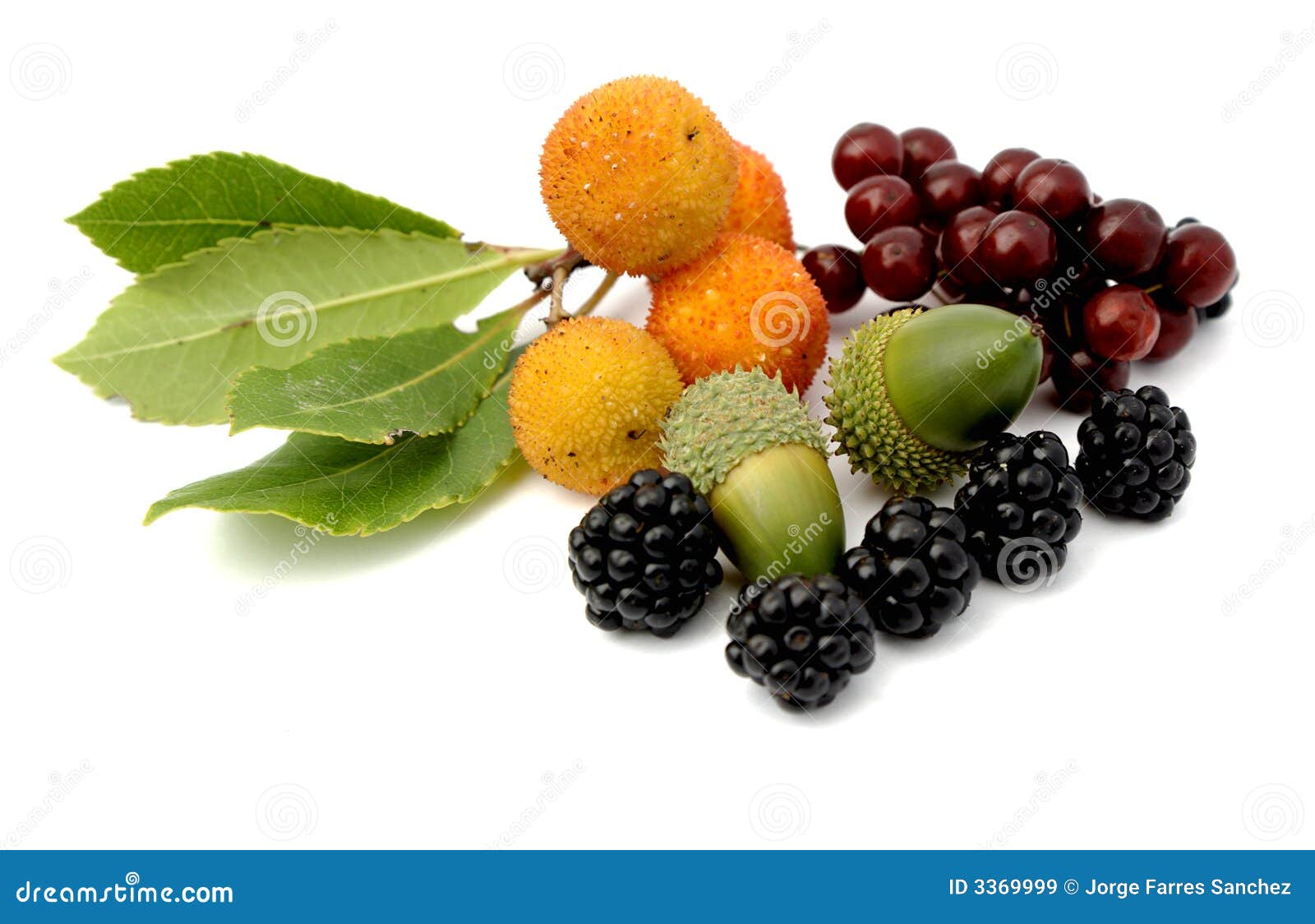 Tavern Fruits Tavern Fruits Stock Image Image Of Cold Trees