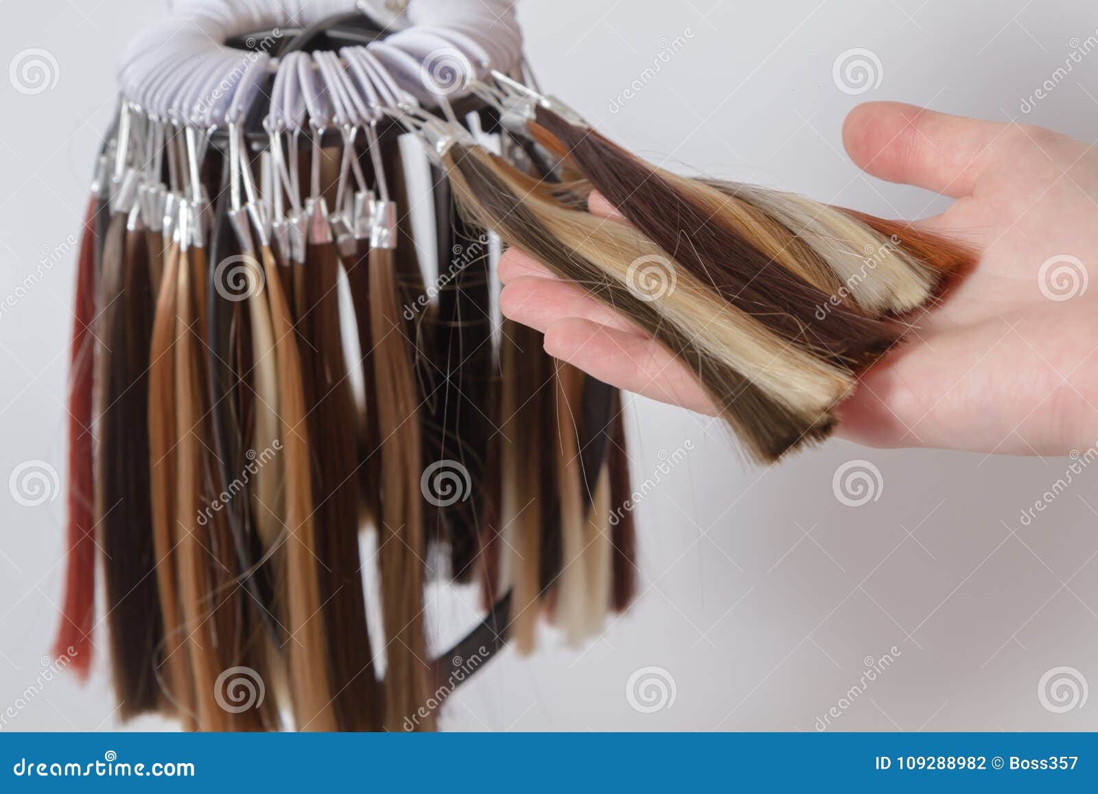 Tavolozza Dei Campioni Di Capelli Colorati Di Varie Tonalita Fotografia Stock Immagine Di Haircut Apparecchiatura