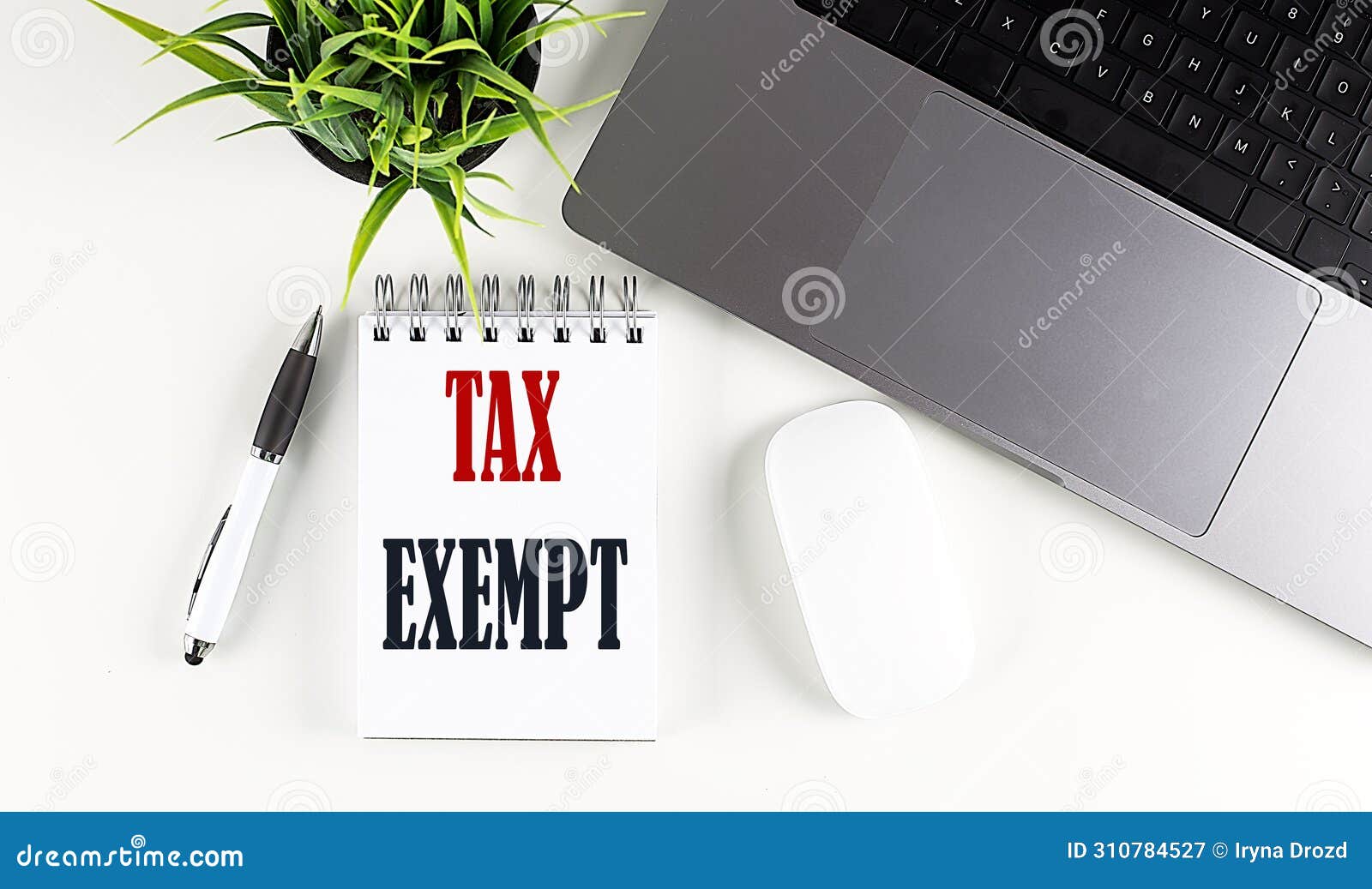 tax exempt text written on notebook with laptop and mouse , white background