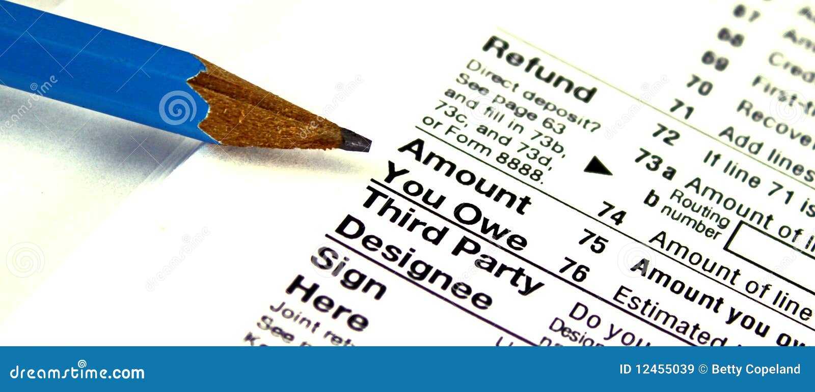 tax form amount you owe