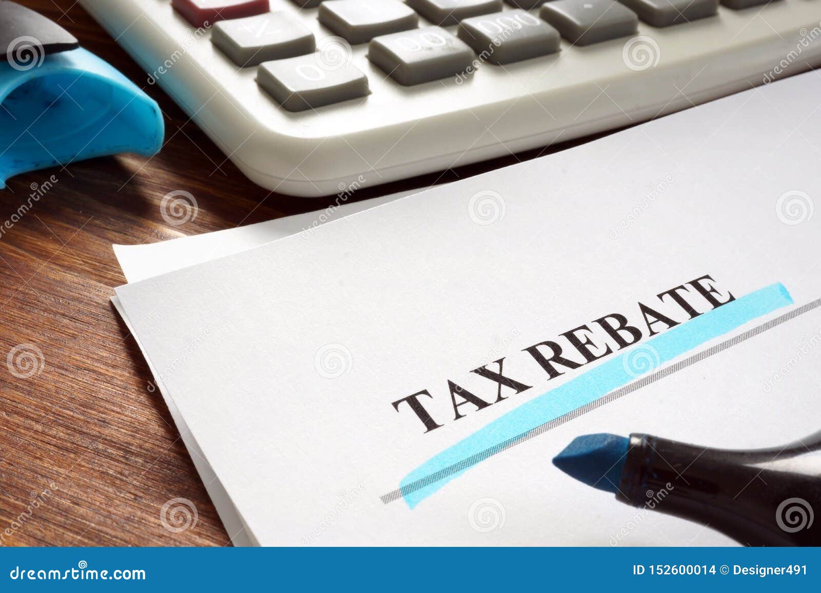 File Tax Rebate