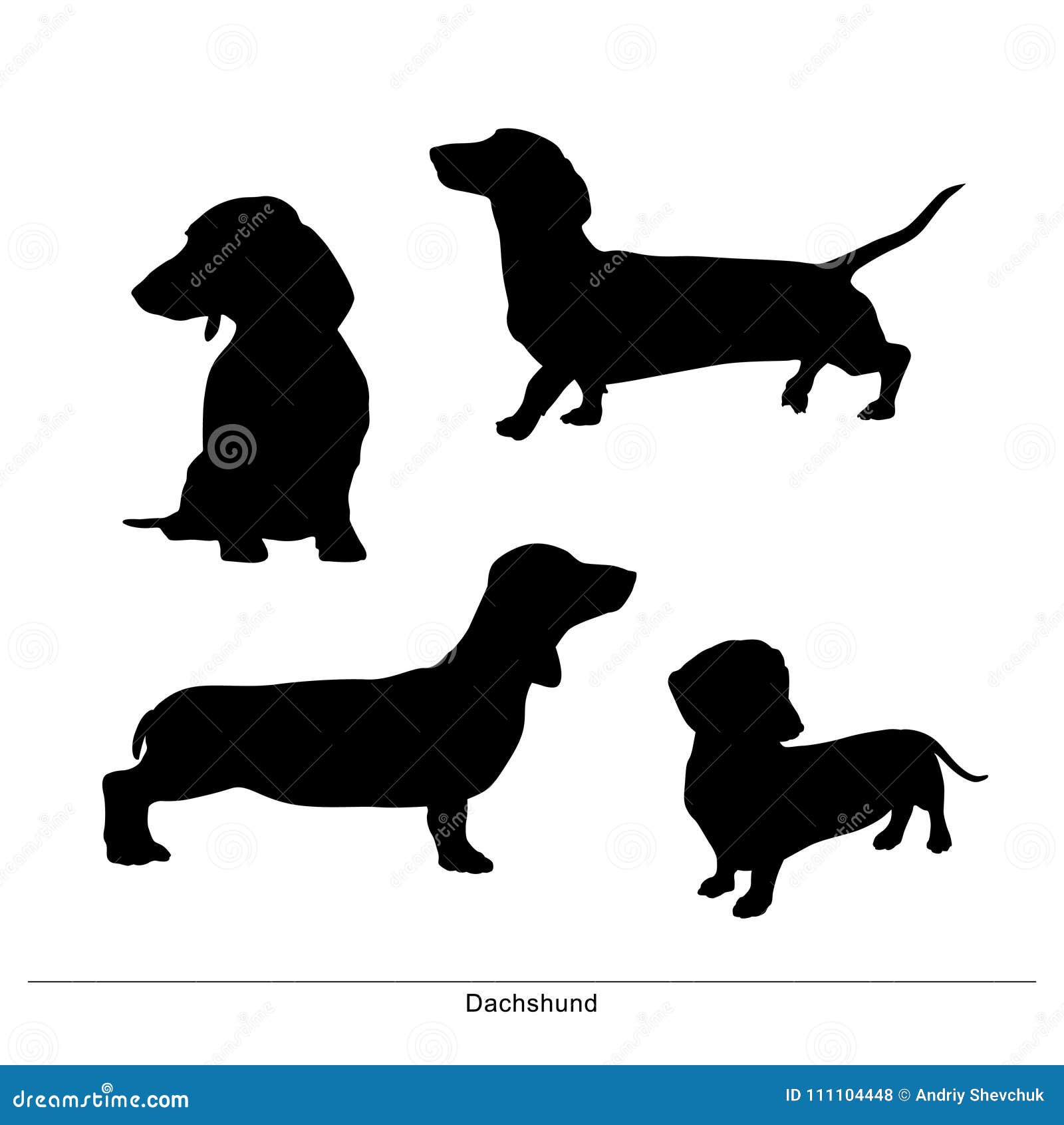 Terminologi Trænge ind træner Tax Taxa Hund Long Tax Taxa Hund Long Hundkapplöpningen är Ställing Vektor  Illustrationer - Illustration av vektor, angus: 111104448