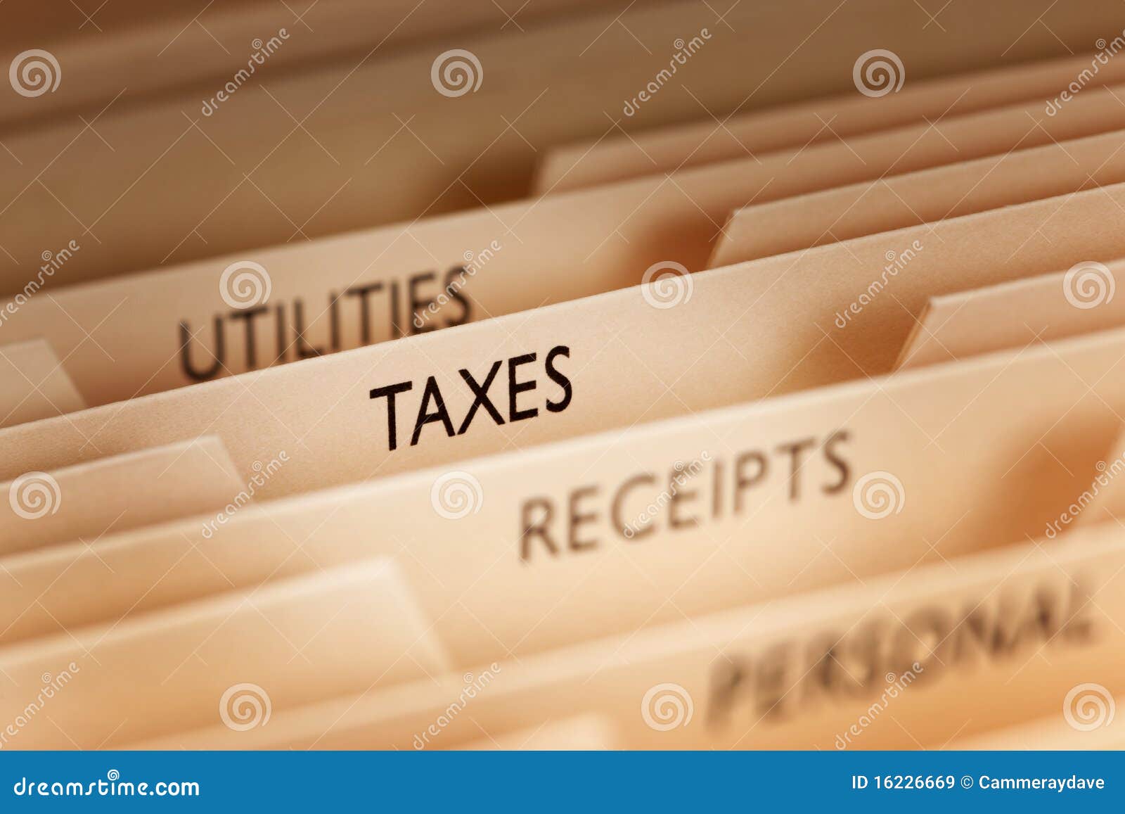 tax taxes file files