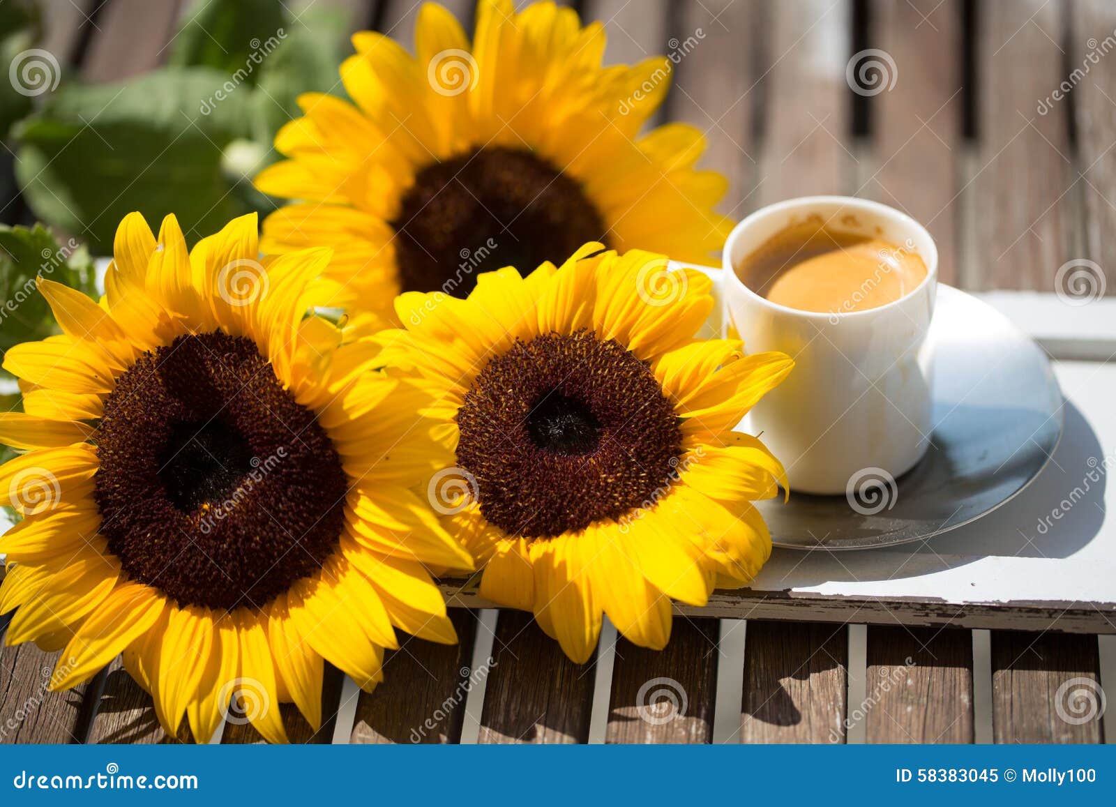 Taza De Café, Con Los Girasoles Imagen de archivo - Imagen de desayuno,  expresado: 58383045