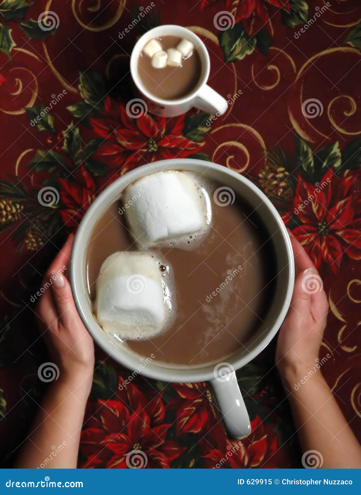 https://thumbs.dreamstime.com/z/taza-grande-de-chocolate-629915.jpg