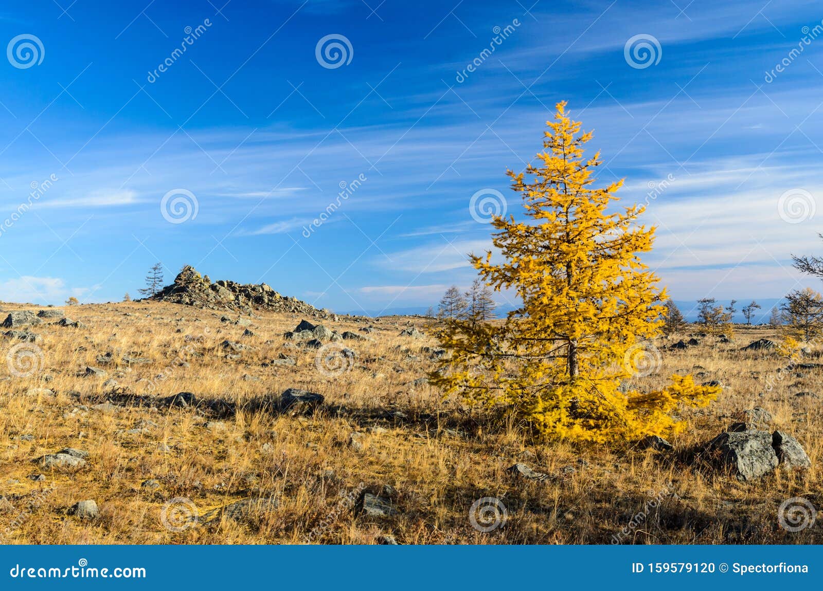 tazhenranskaya steppe on the west coast of lake baikal, siberia