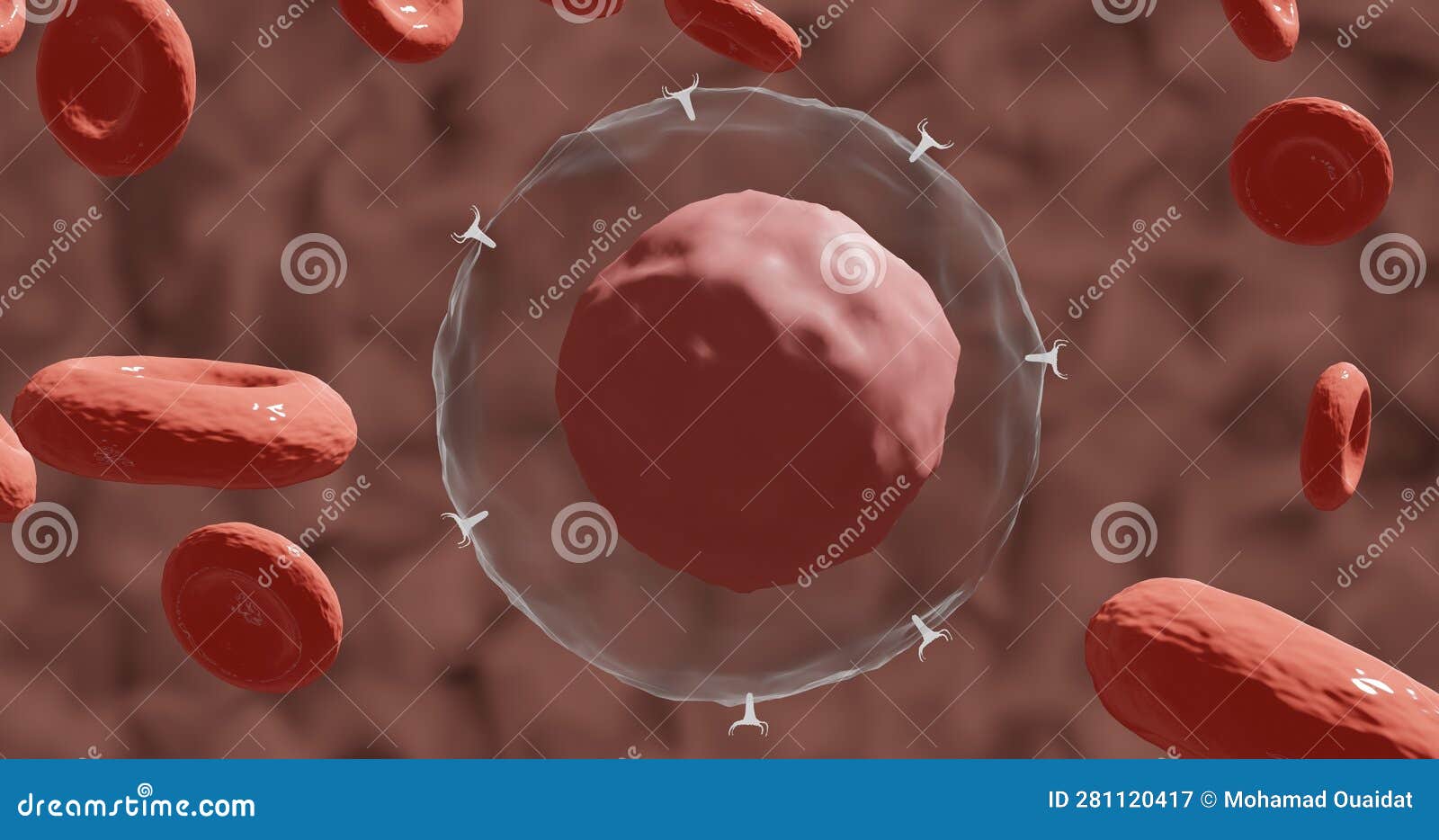 a tc lymphocyte with its receptors tcr in 3d 