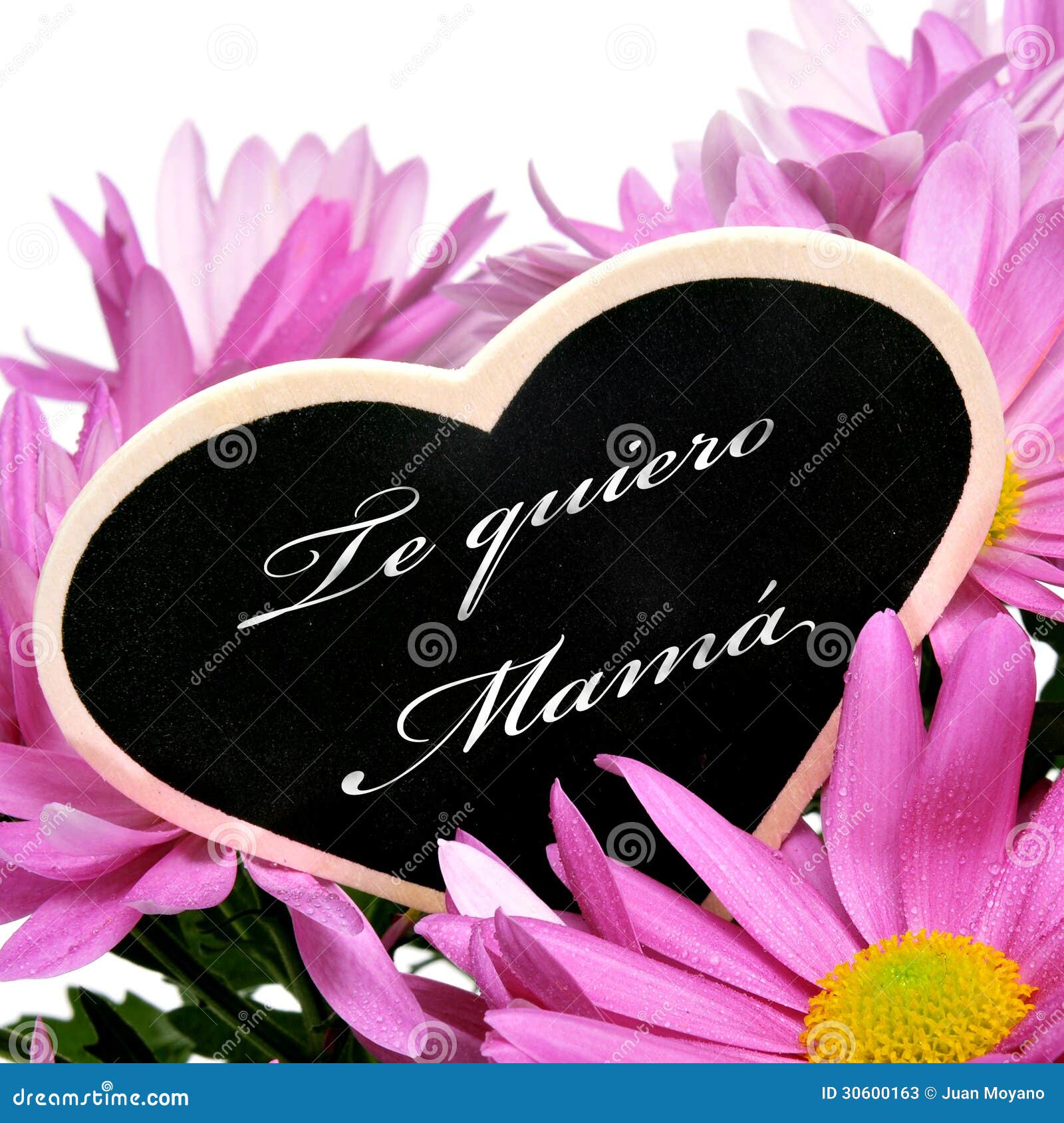 te quiero mama, i love you mom in spanish