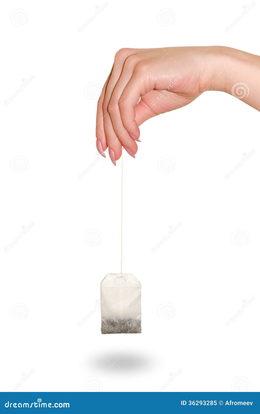 Tea bag in a female hand. stock image. Image of product 36293285