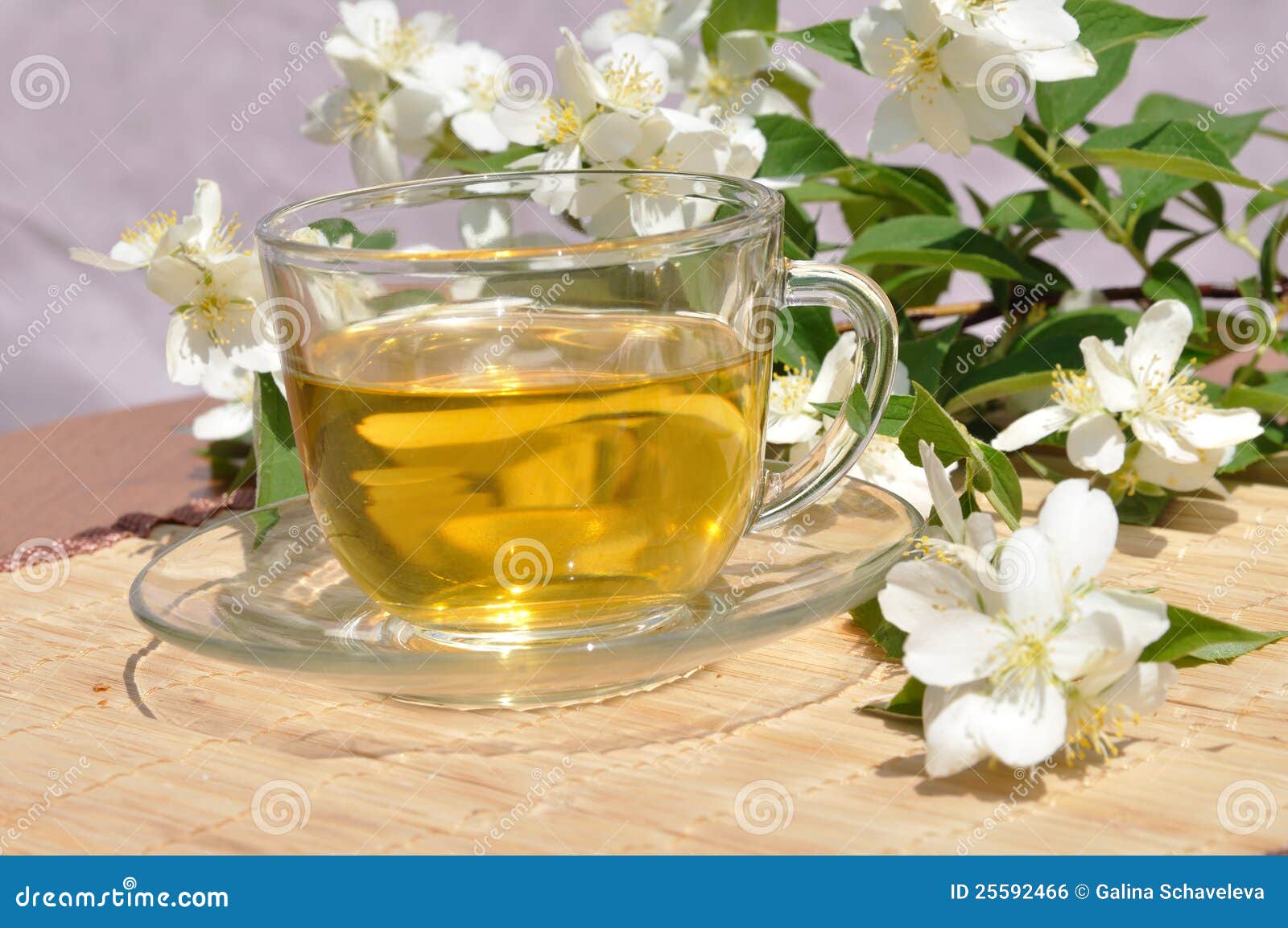 A Branch Of The Jasmine Flower. White Jasmine Flower RoyaltyFree Stock