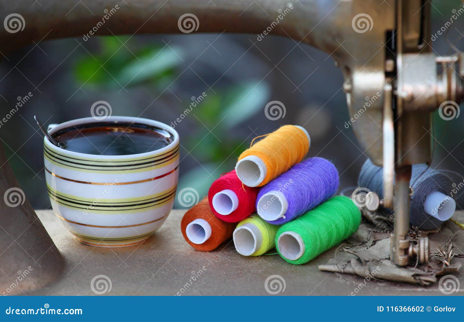 Tea Cup Broken Sewing Machine Stock Photo Image of beauty, broken