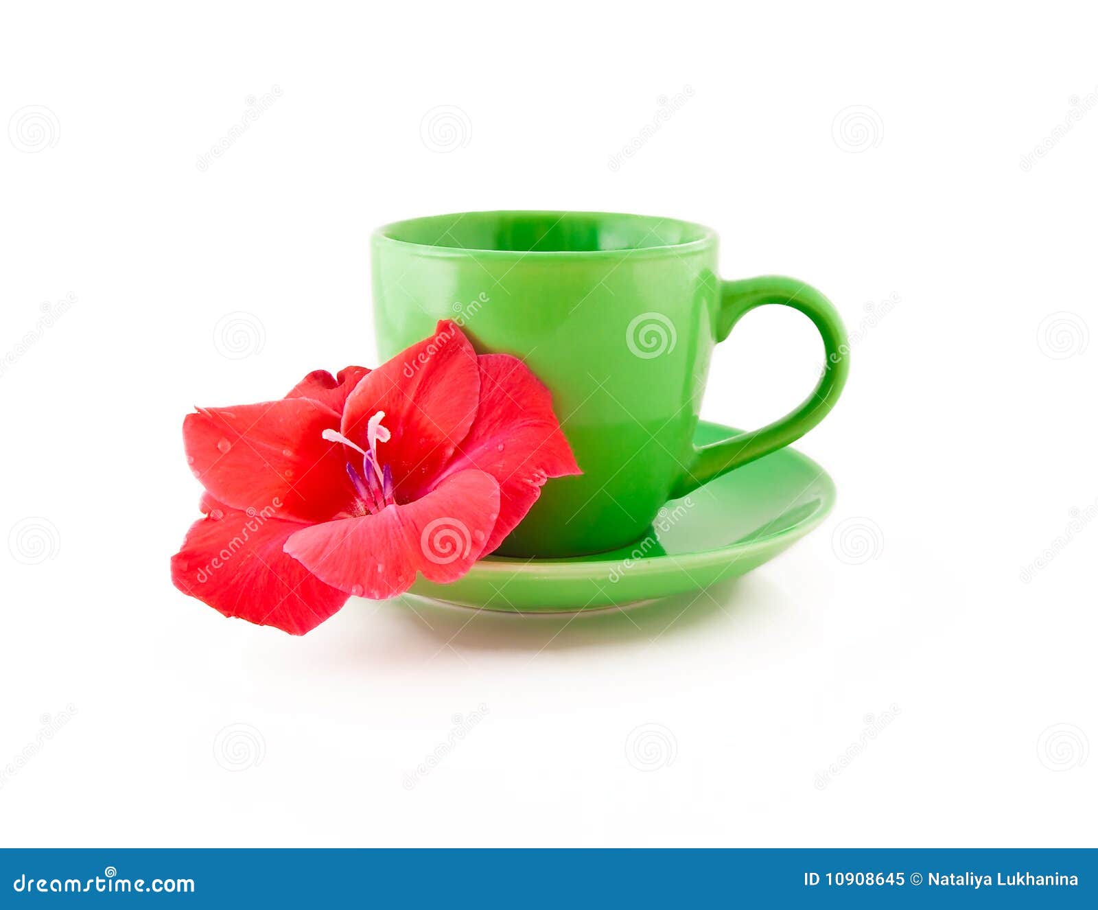 Tea Cup with a Flower on a White Background Stock Image Image of