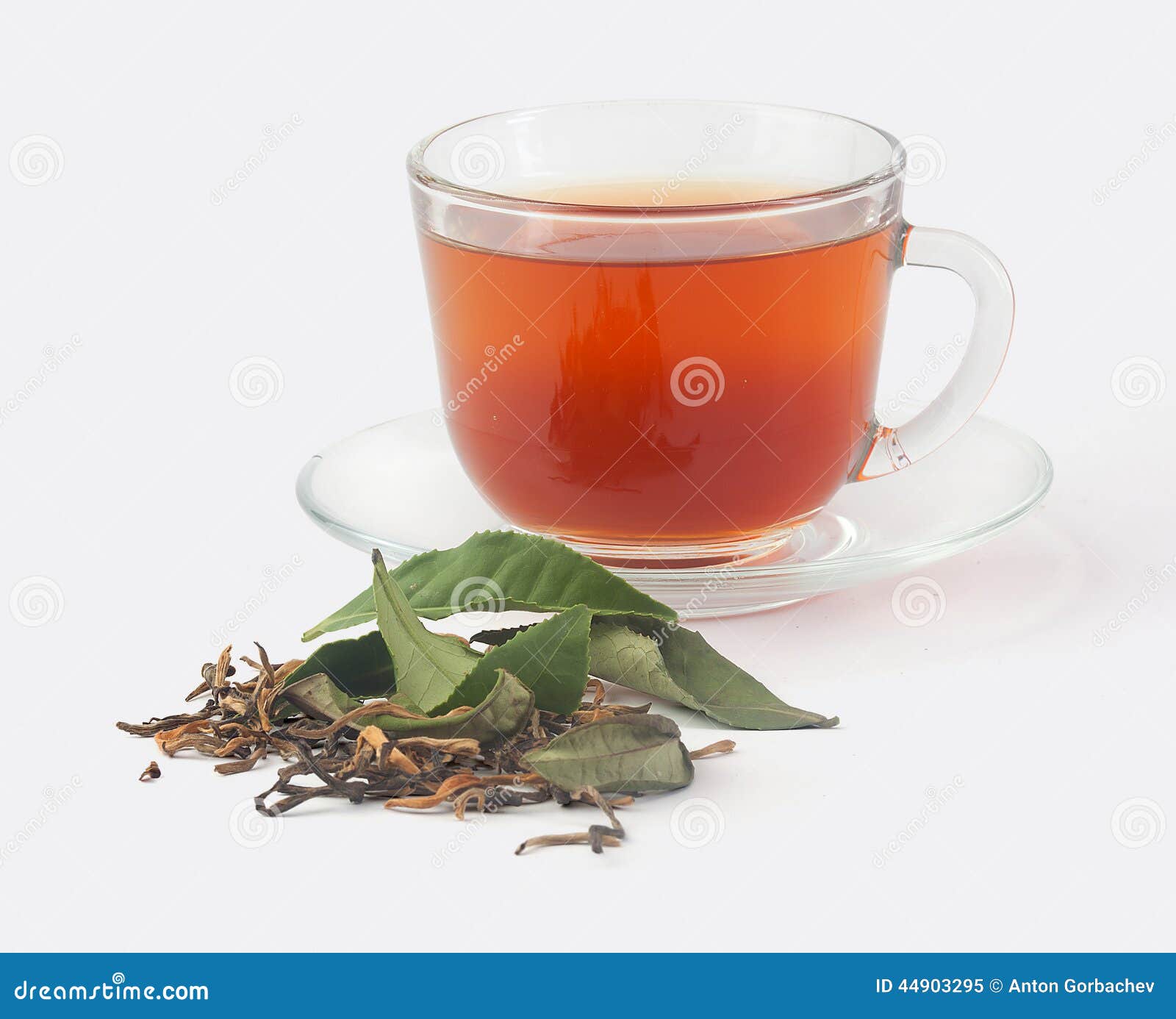 Tea Cup with Fresh and Dried Tea Leaves Stock Image Image of drink