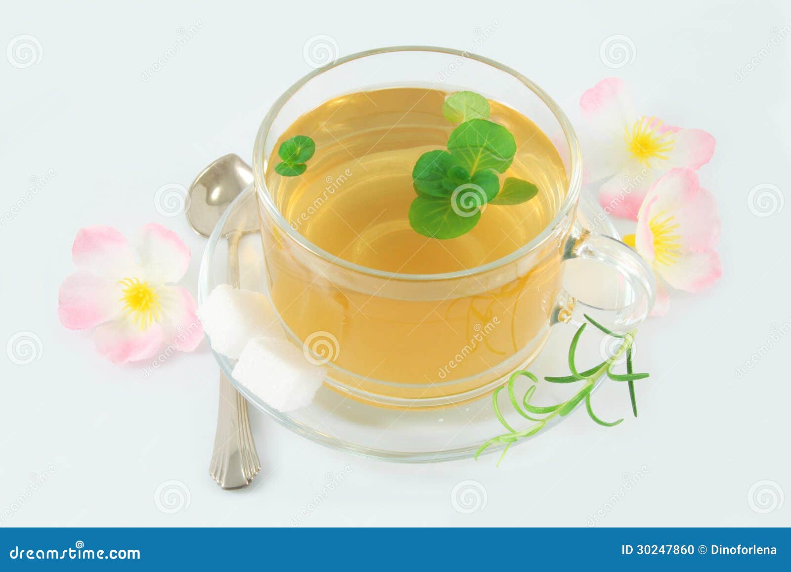 Tea with fresh mint stock photo. Image of fresh, china 30247860