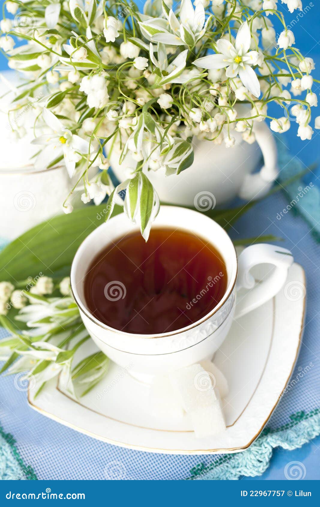 Tea in a Cup of White Flowers Stock Image Image of fresh, breakfast