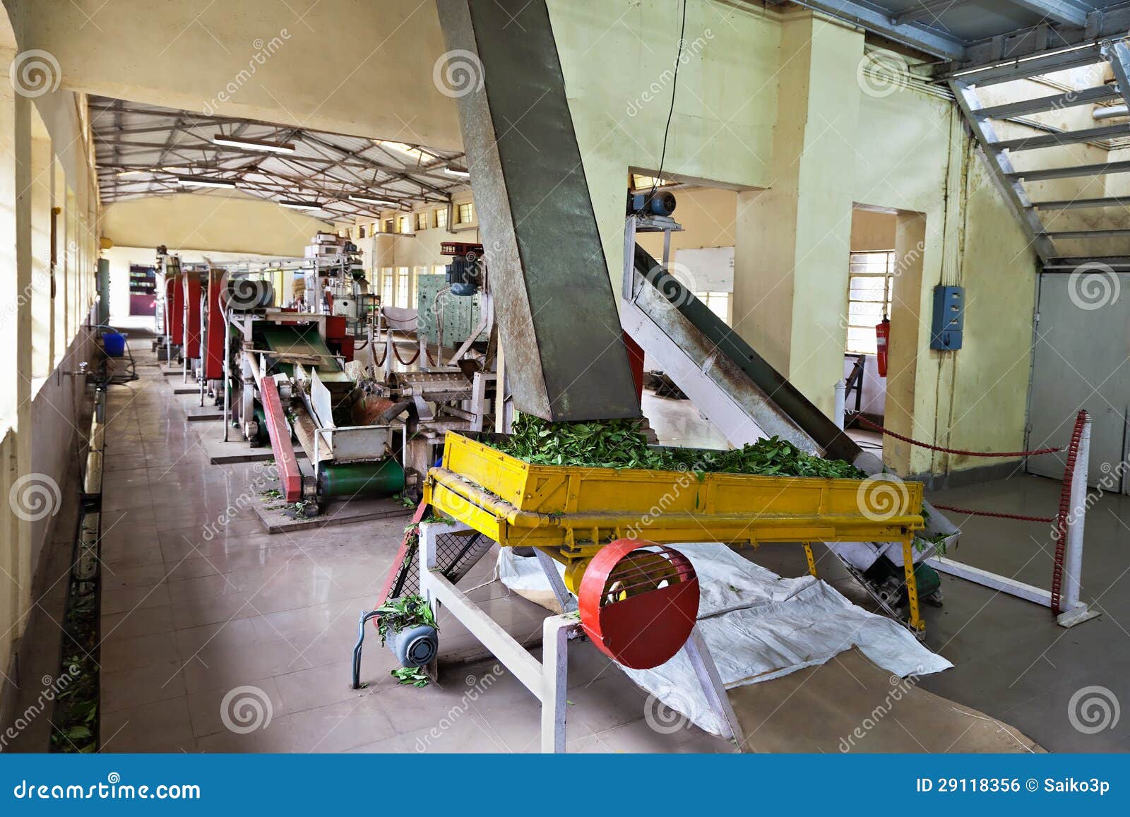 Tea factory, India editorial photo. Image of drying, experiment 29118356